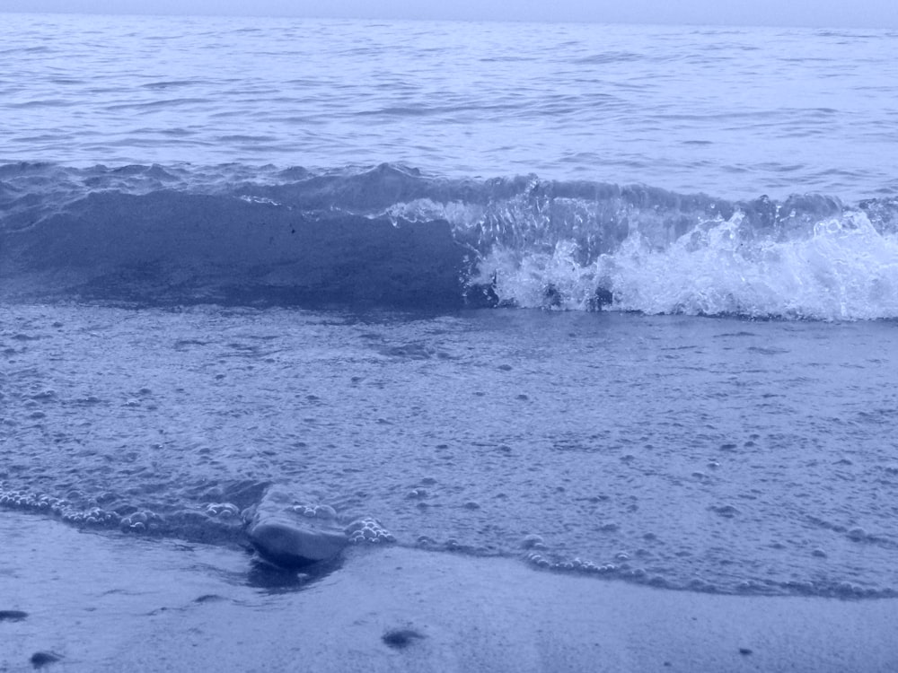 Uma onda cai na margem de uma praia