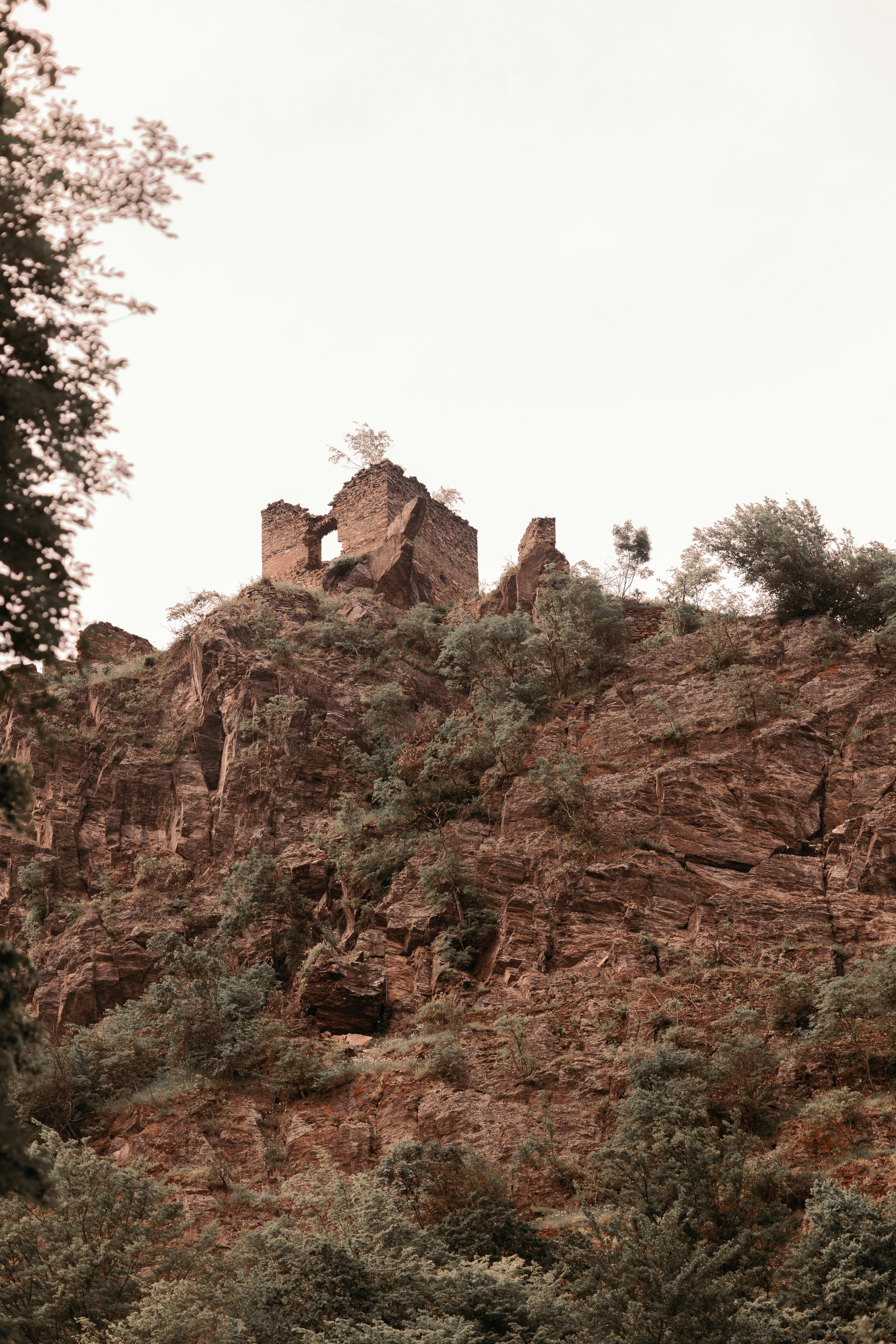 Photo by elisamoldovan