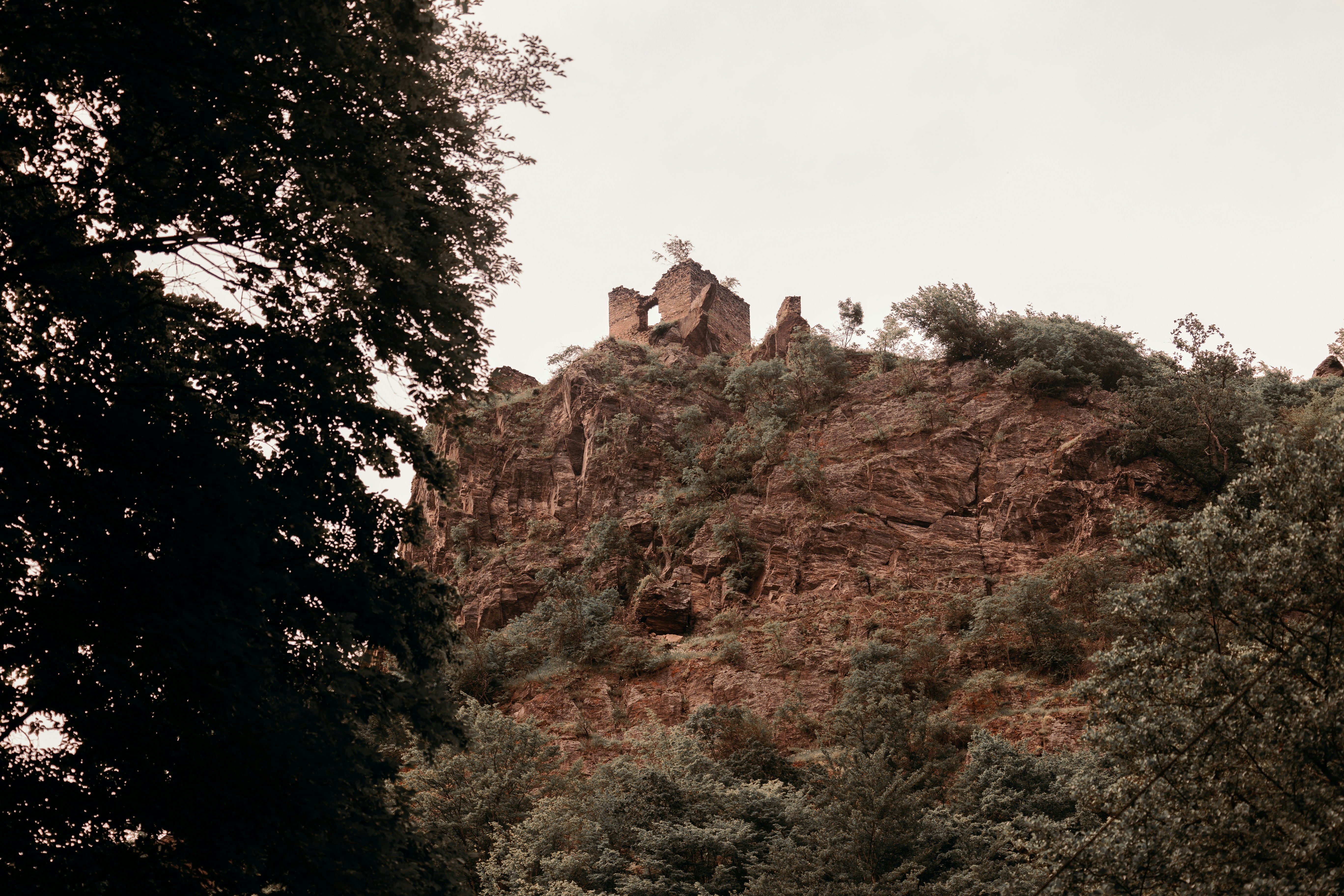 Photo by elisamoldovan