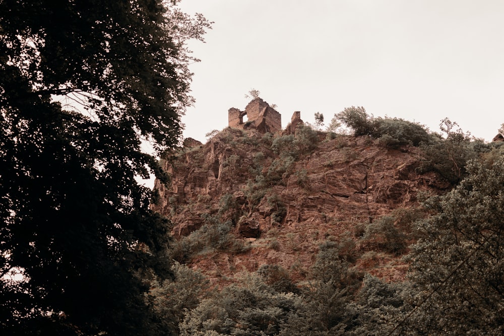 a rocky mountain with trees on the side of it