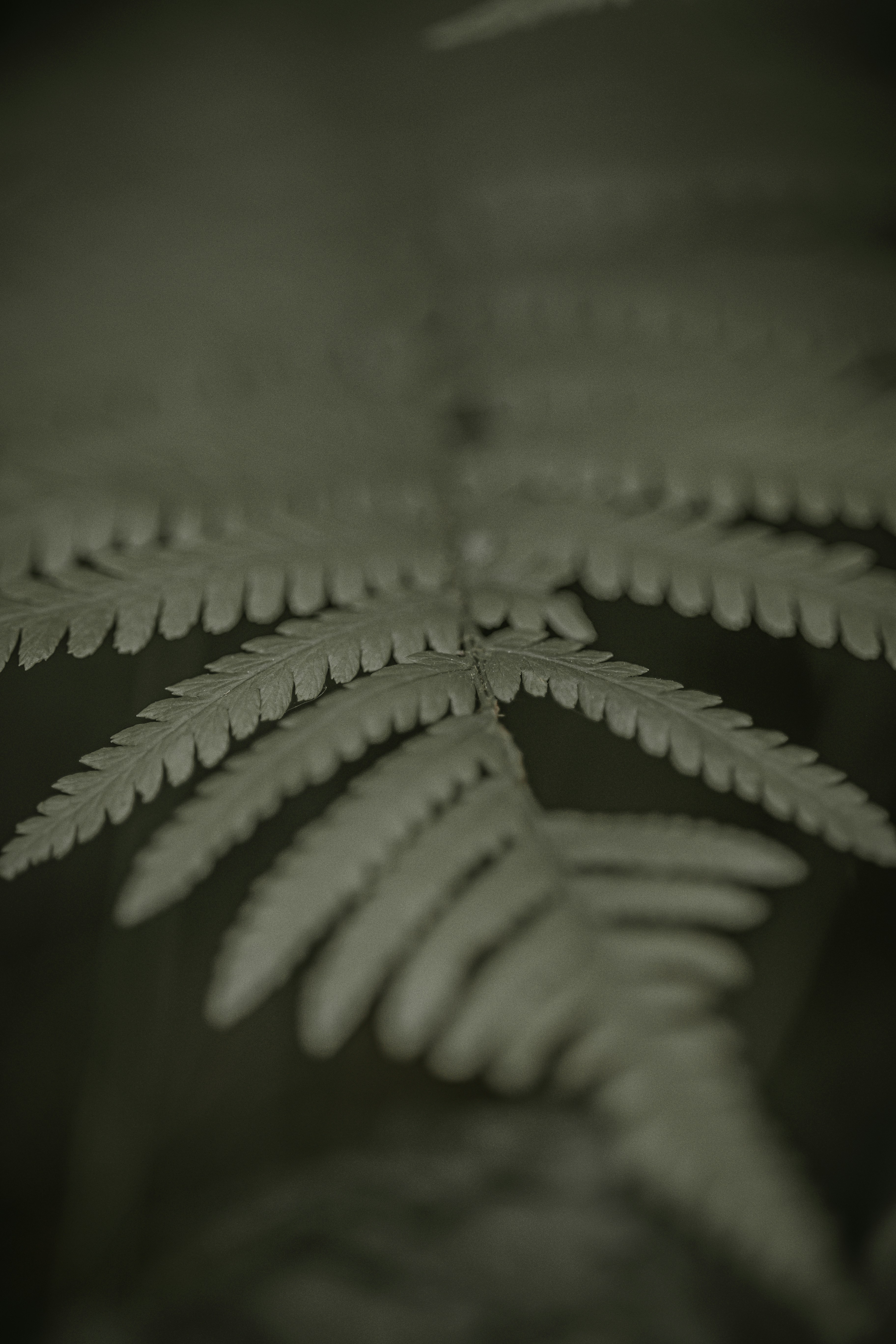 Photo by elisamoldovan