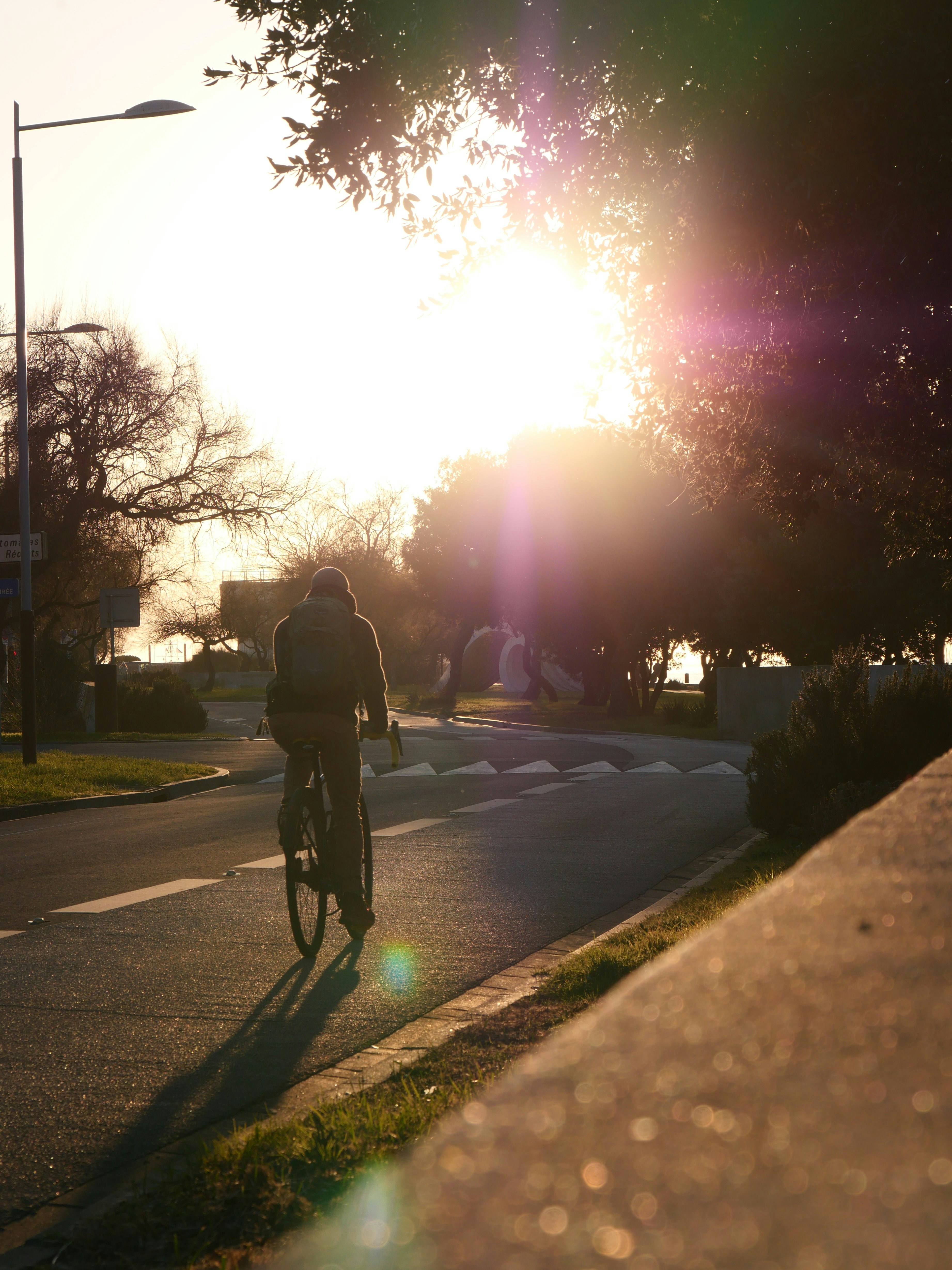 Photo by nimbus_vulpis