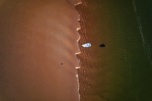 Aerial view of a surfer catching a wave near a sunlit beach in the Lakes Region.