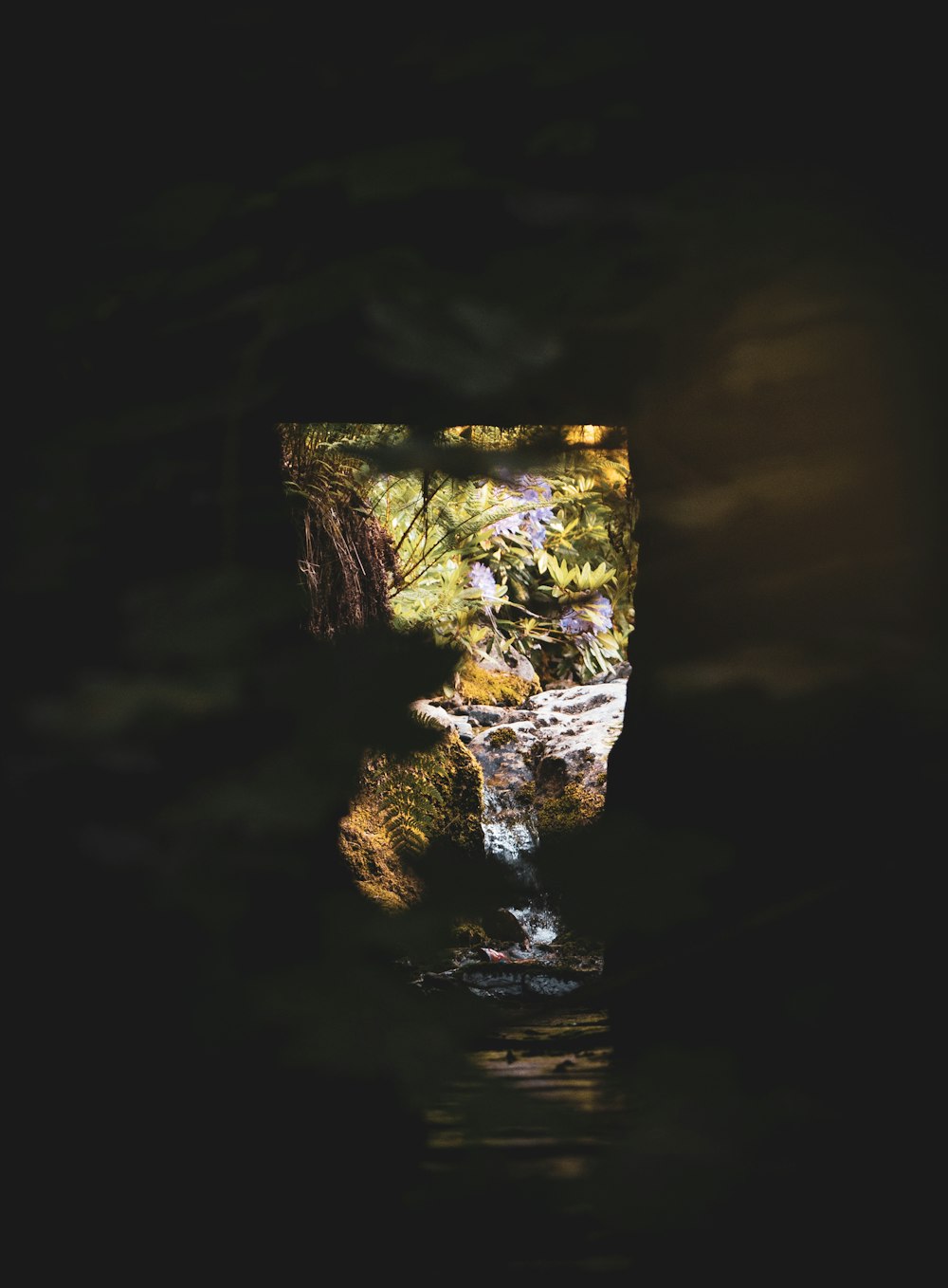 a reflection of a waterfall in the water