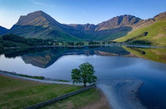 a lake surrounded by mountains with a tree in the foreground