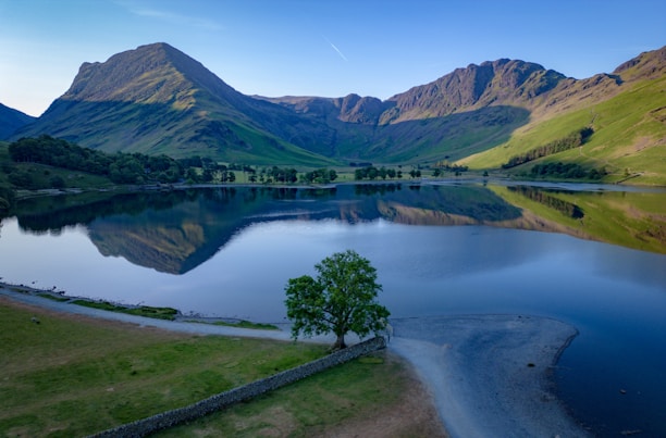 a lake surrounded by mountains with a tree in the foreground