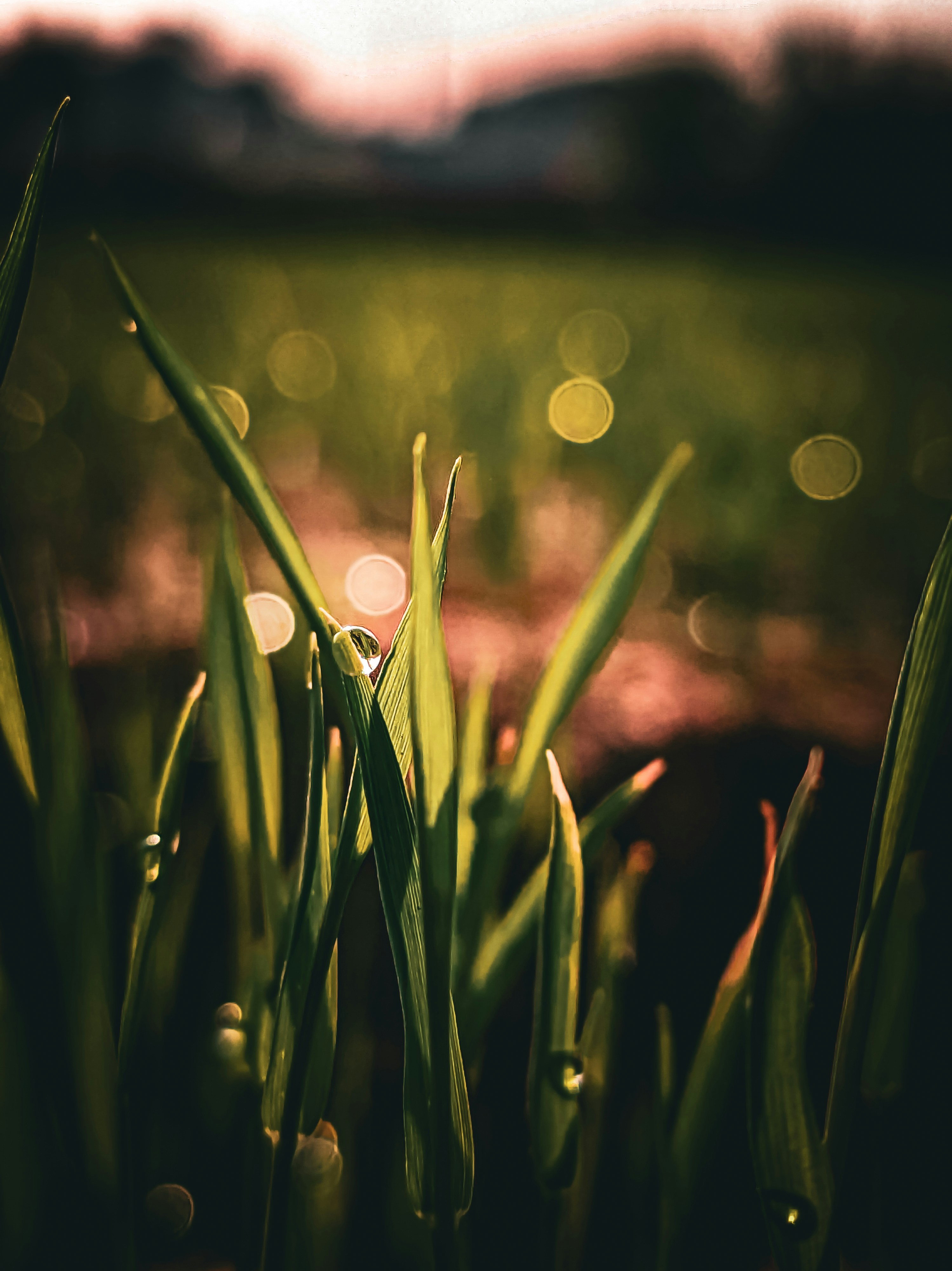 Photo by amanmaurya_117