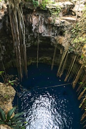 a blue pool in the middle of a jungle