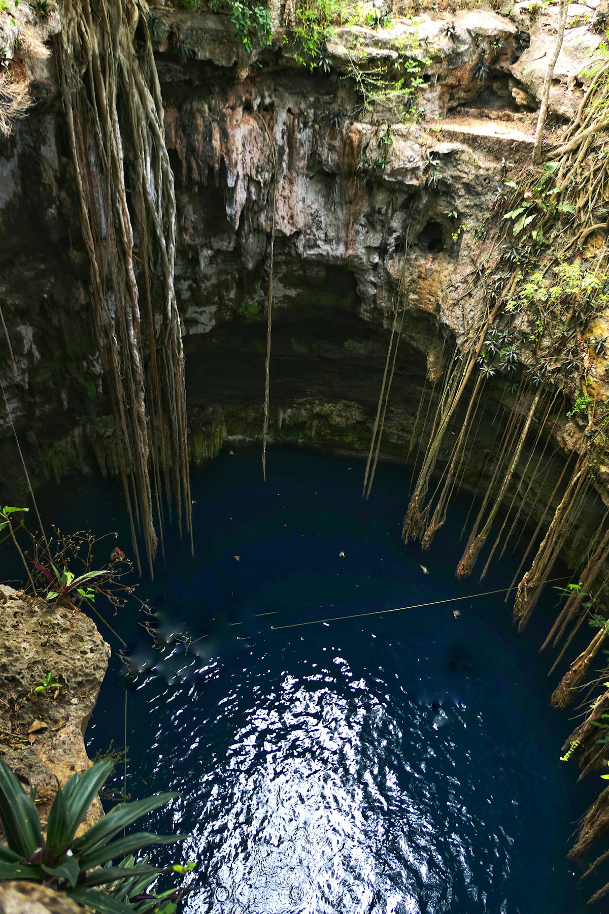 Crystal clear turquoise cenote water surrounded by lush green jungle in the Yucatan Peninsula, Mexico