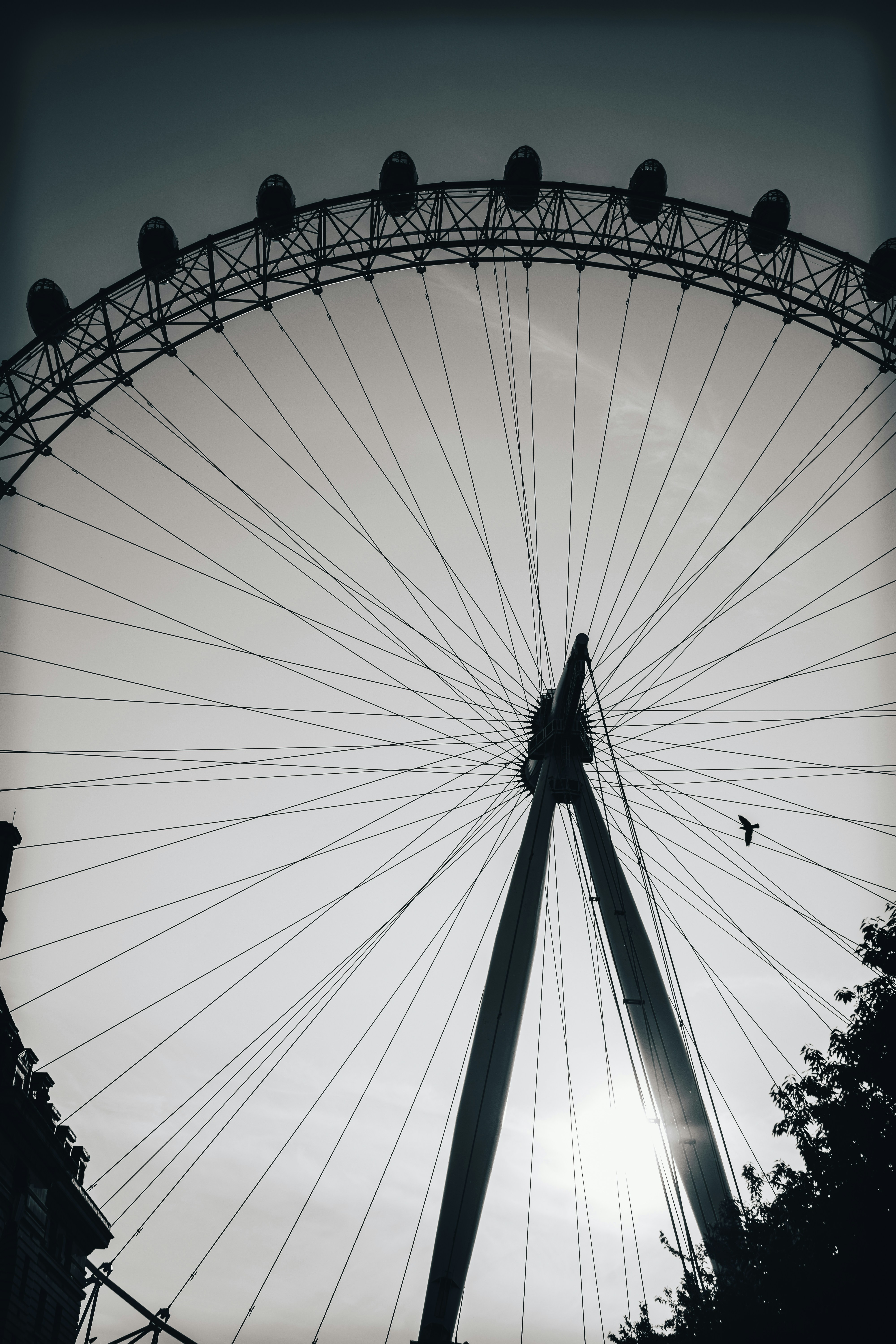 Photo by brice_cooper18