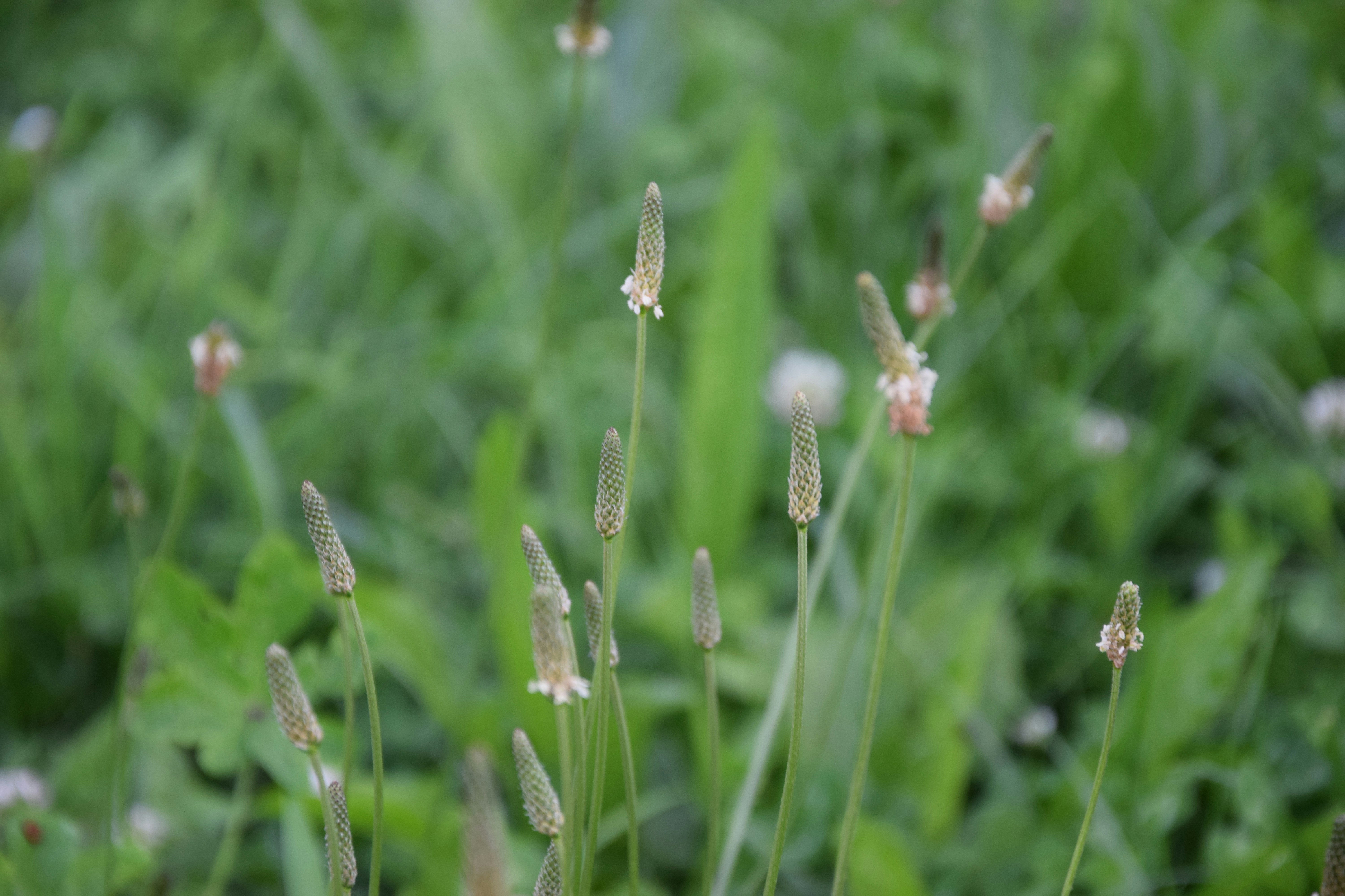 Photo by dnafairylady