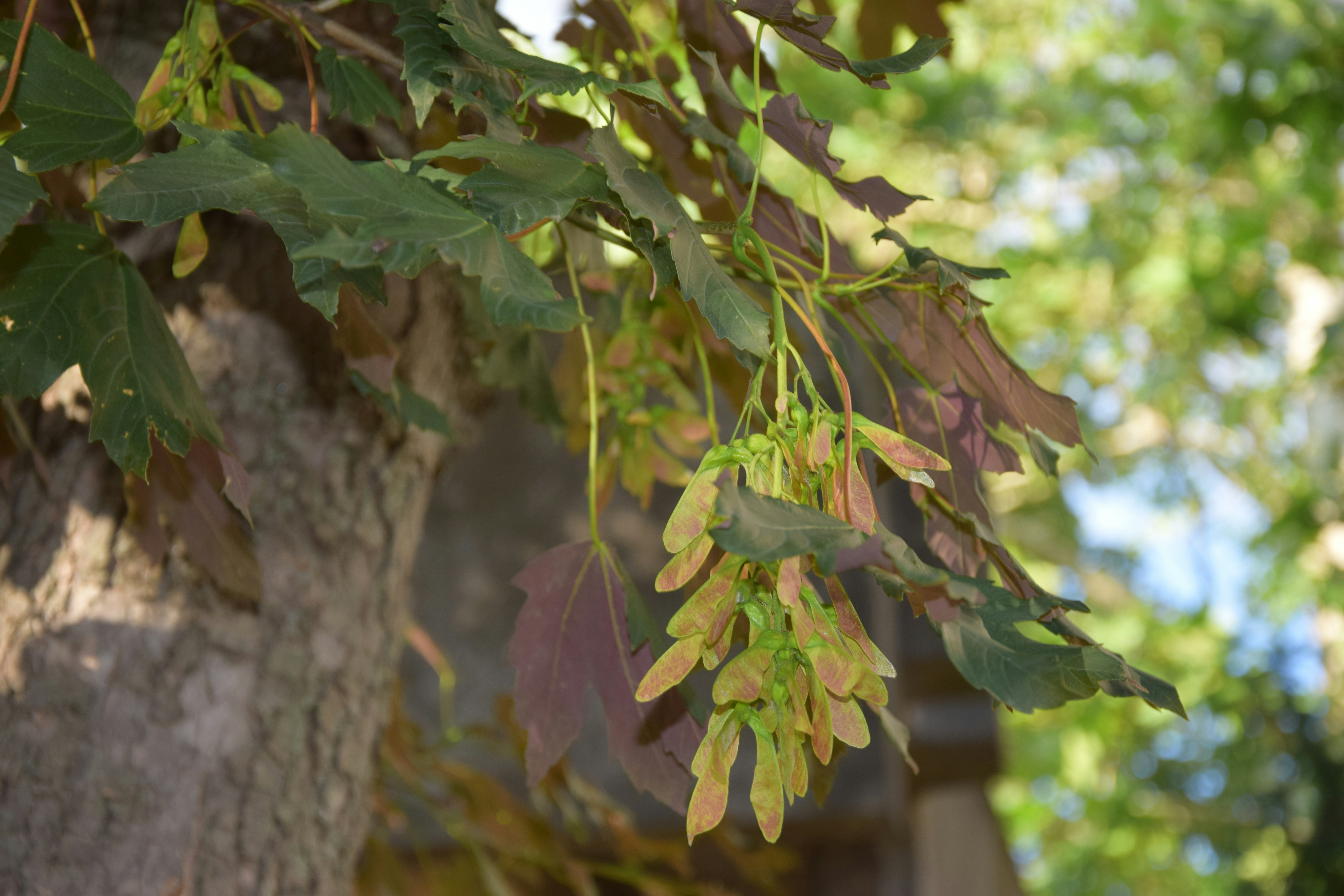 Photo by dnafairylady