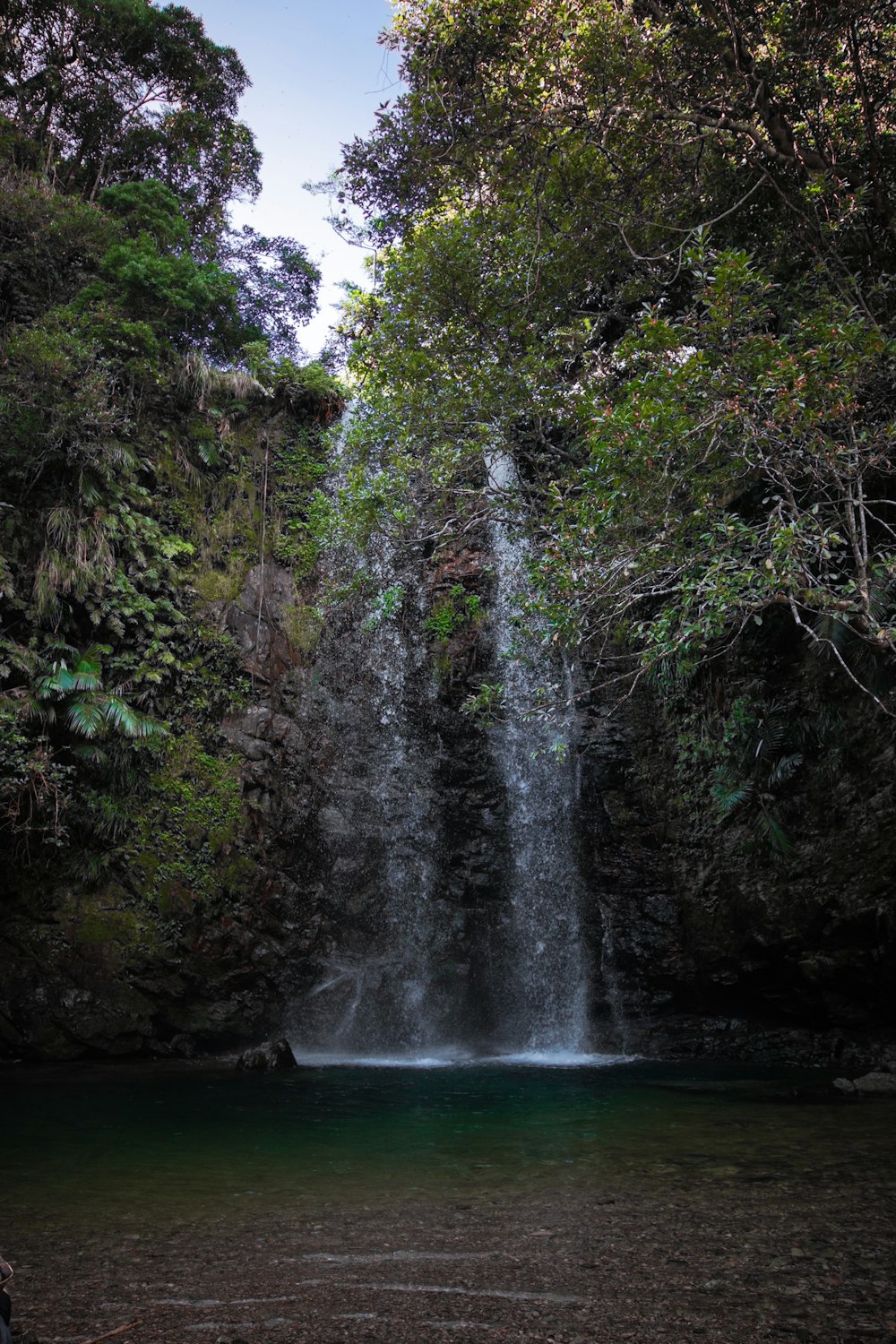 a large waterfall in the middle of a forest