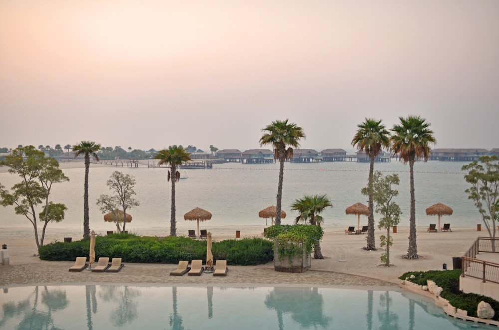 a large swimming pool surrounded by palm trees