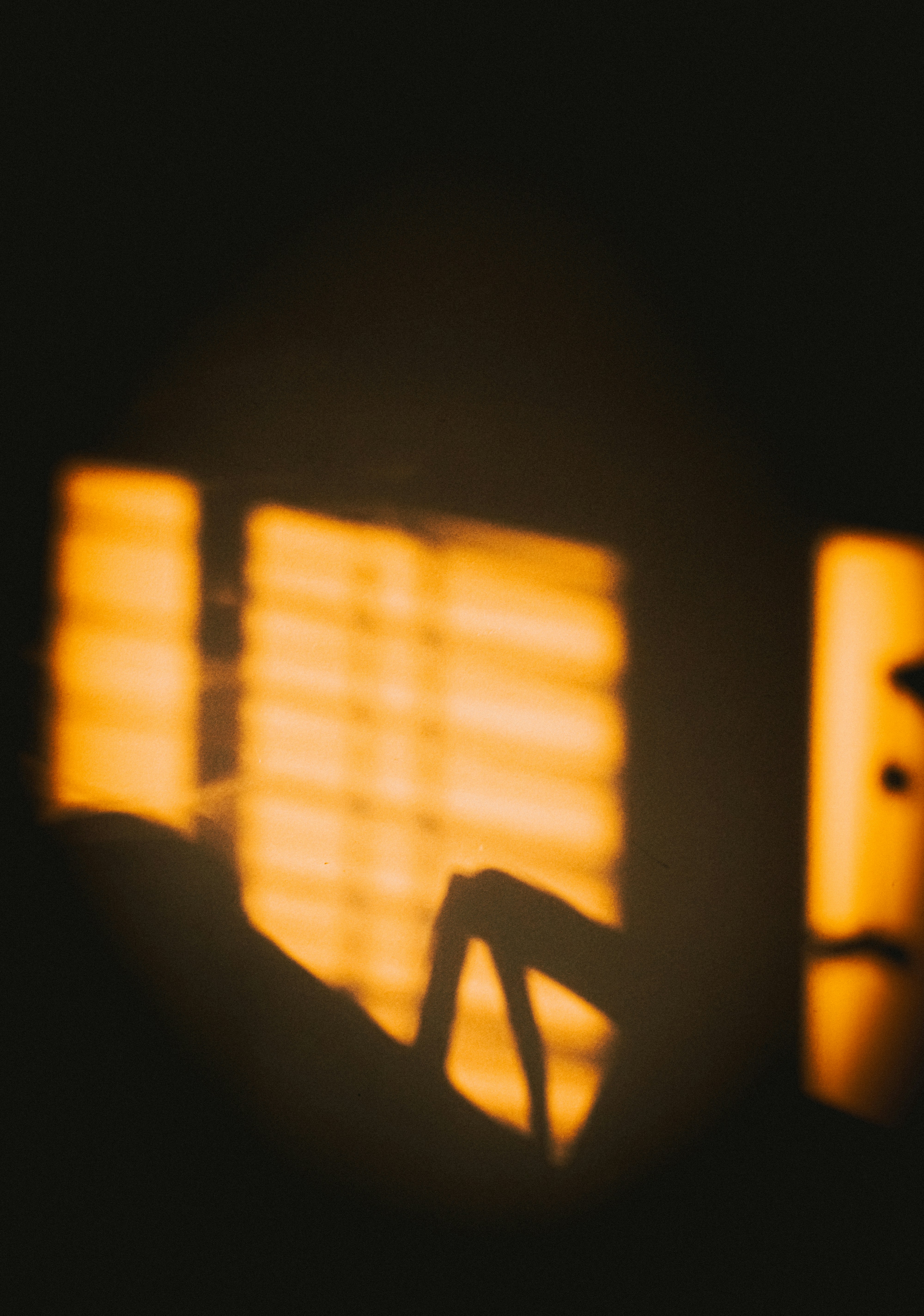 Photo by linusbelanger