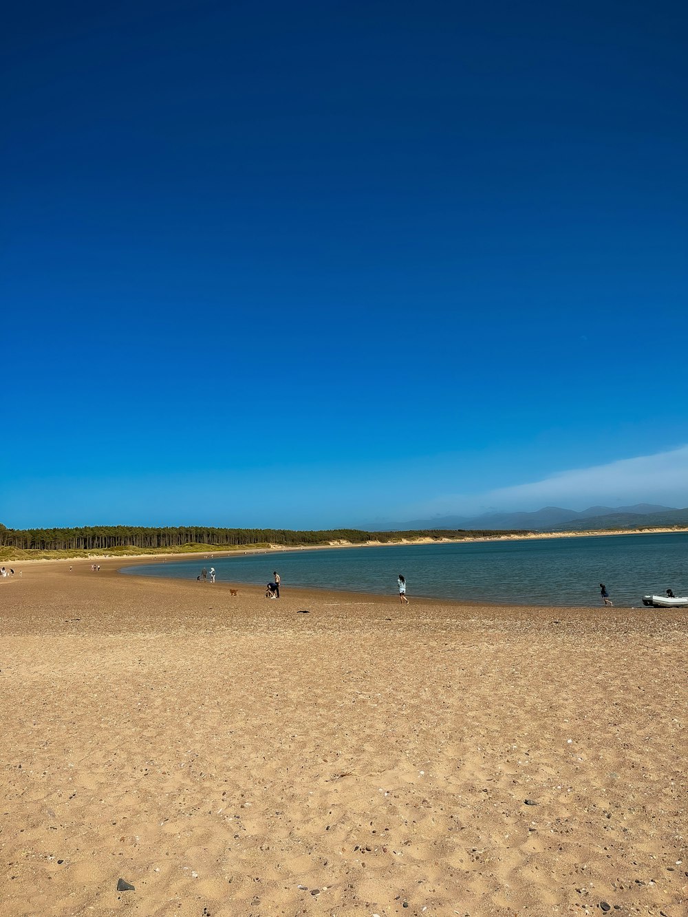 a group of people standing on top of a sandy beach