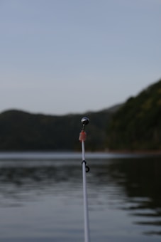 A fishing rod is centrally focused with a blurred backdrop of a calm lake and tree-covered hills in the distance. The end of the fishing rod is prominently featured with a metal eyelet and orange stopper.