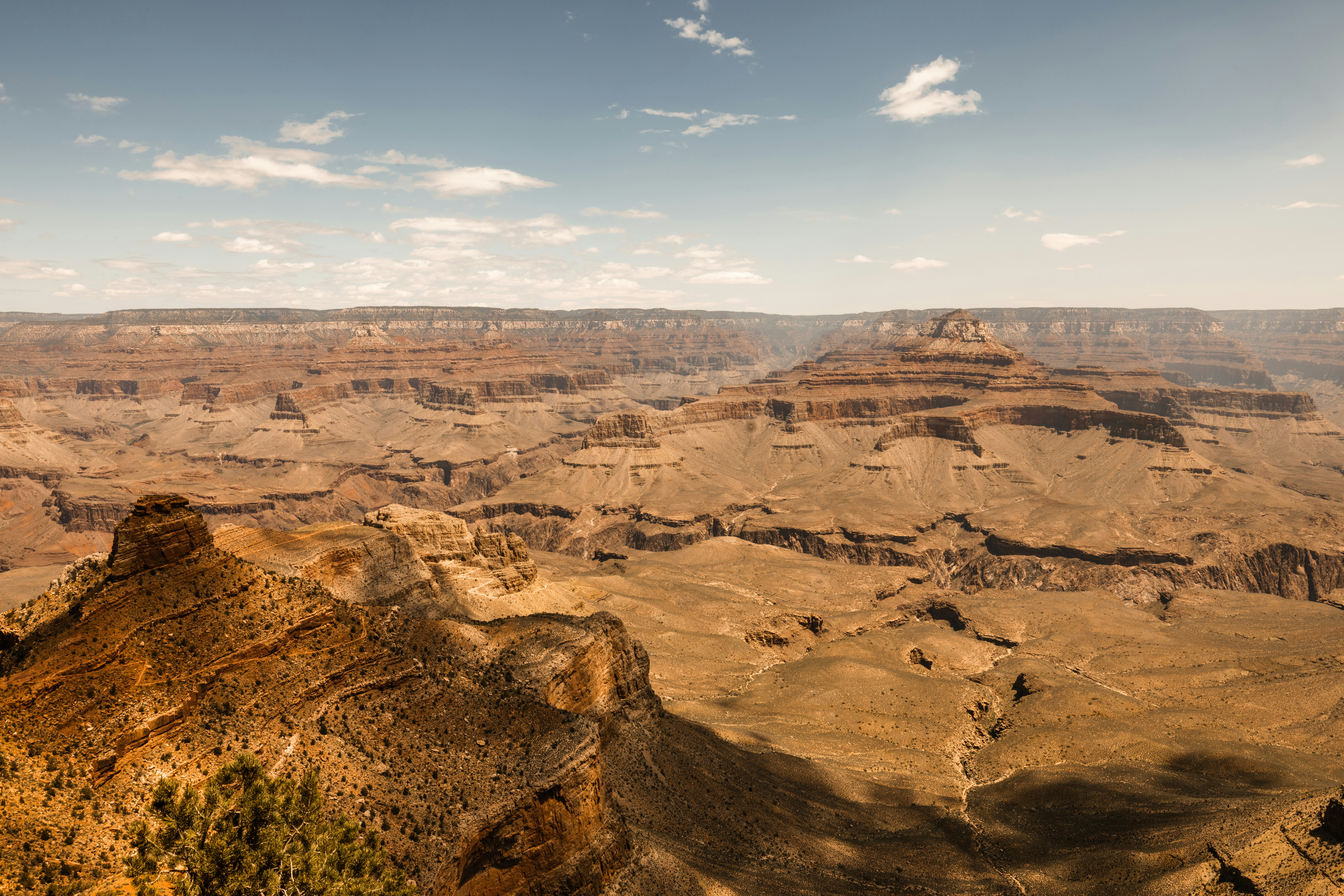 Photo by gregory_brainard