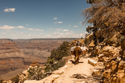 Adventurers navigating a dry canyon trail surrounded by rugged cliffs.