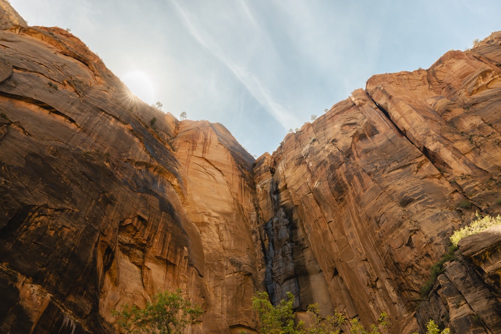 a view of the side of a mountain with trees in the foreground