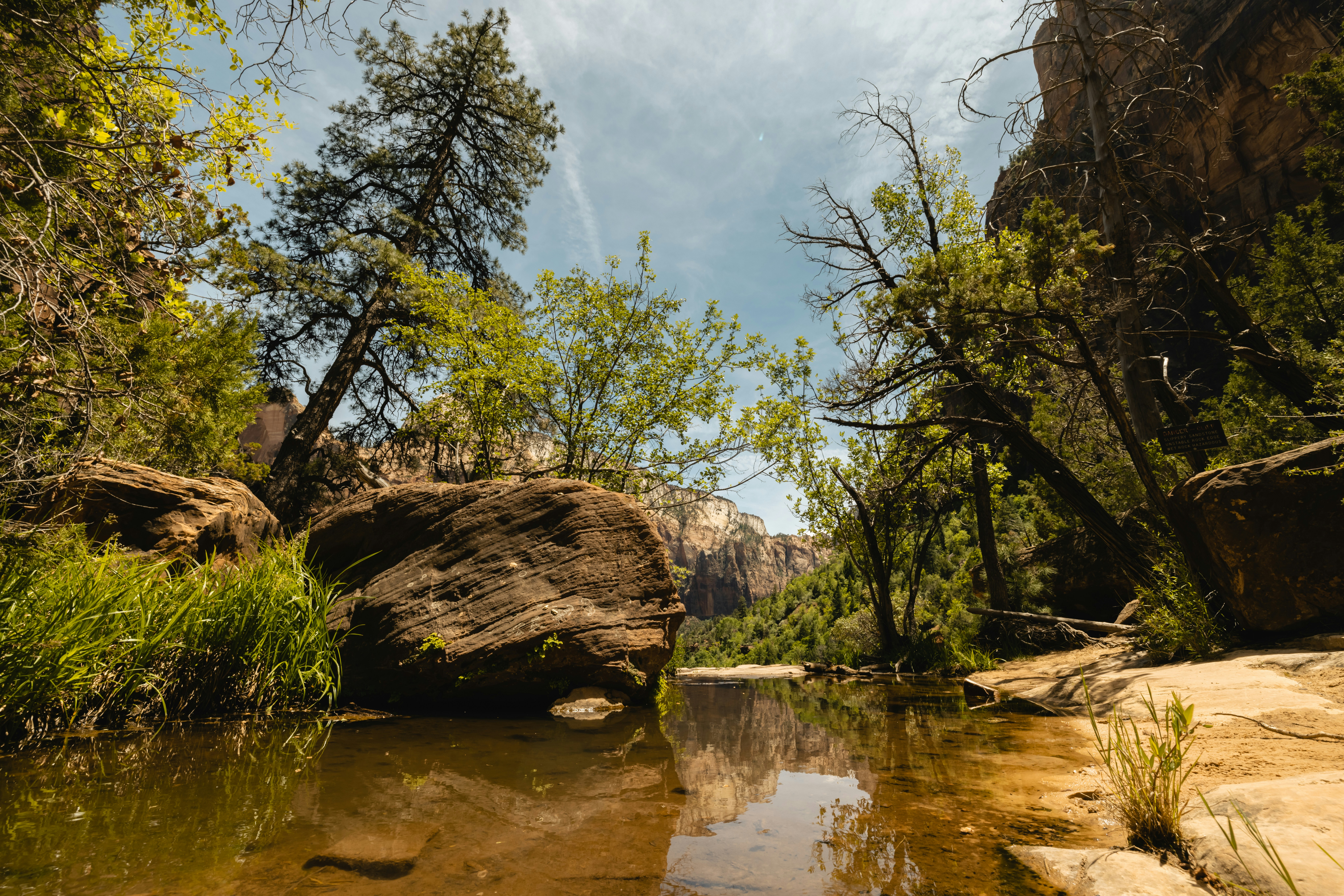 Photo by gregory_brainard