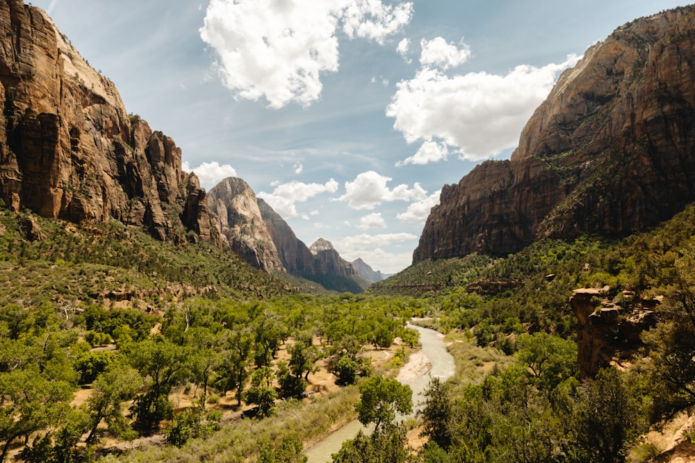 a river running through a lush green valley