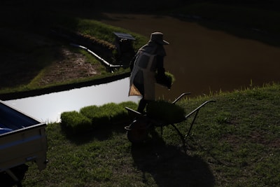 A person wearing a hat and protective clothing is carrying trays of seedlings next to a small body of water. The setting appears to be a rural, agricultural area with green grass surrounding the water's edge.