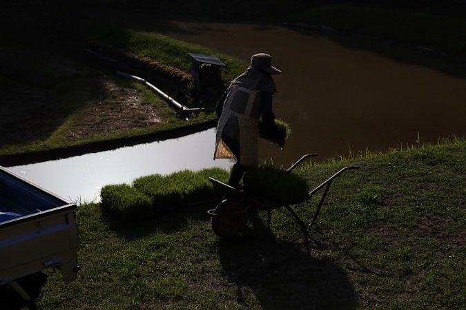 Territórios da Agrobiodiversidade: Promovendo a Conservação e a Sustentabilidade