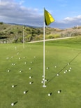 A golf course putting green scattered with numerous white golf balls. Two flags, one in the foreground and one in the midground, mark the holes. The backdrop features a landscape of rolling hills with green shrubs and grass under a partly cloudy sky.