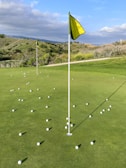 An assortment of colorful golf balls scattered on a putting green.