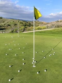 A golf course putting green scattered with numerous white golf balls. Two flags, one in the foreground and one in the midground, mark the holes. The backdrop features a landscape of rolling hills with green shrubs and grass under a partly cloudy sky.
