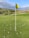 A golf course putting green scattered with numerous white golf balls. Two flags, one in the foreground and one in the midground, mark the holes. The backdrop features a landscape of rolling hills with green shrubs and grass under a partly cloudy sky.