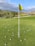 A golf course putting green scattered with numerous white golf balls. Two flags, one in the foreground and one in the midground, mark the holes. The backdrop features a landscape of rolling hills with green shrubs and grass under a partly cloudy sky.