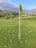A golf course putting green scattered with numerous white golf balls. Two flags, one in the foreground and one in the midground, mark the holes. The backdrop features a landscape of rolling hills with green shrubs and grass under a partly cloudy sky.