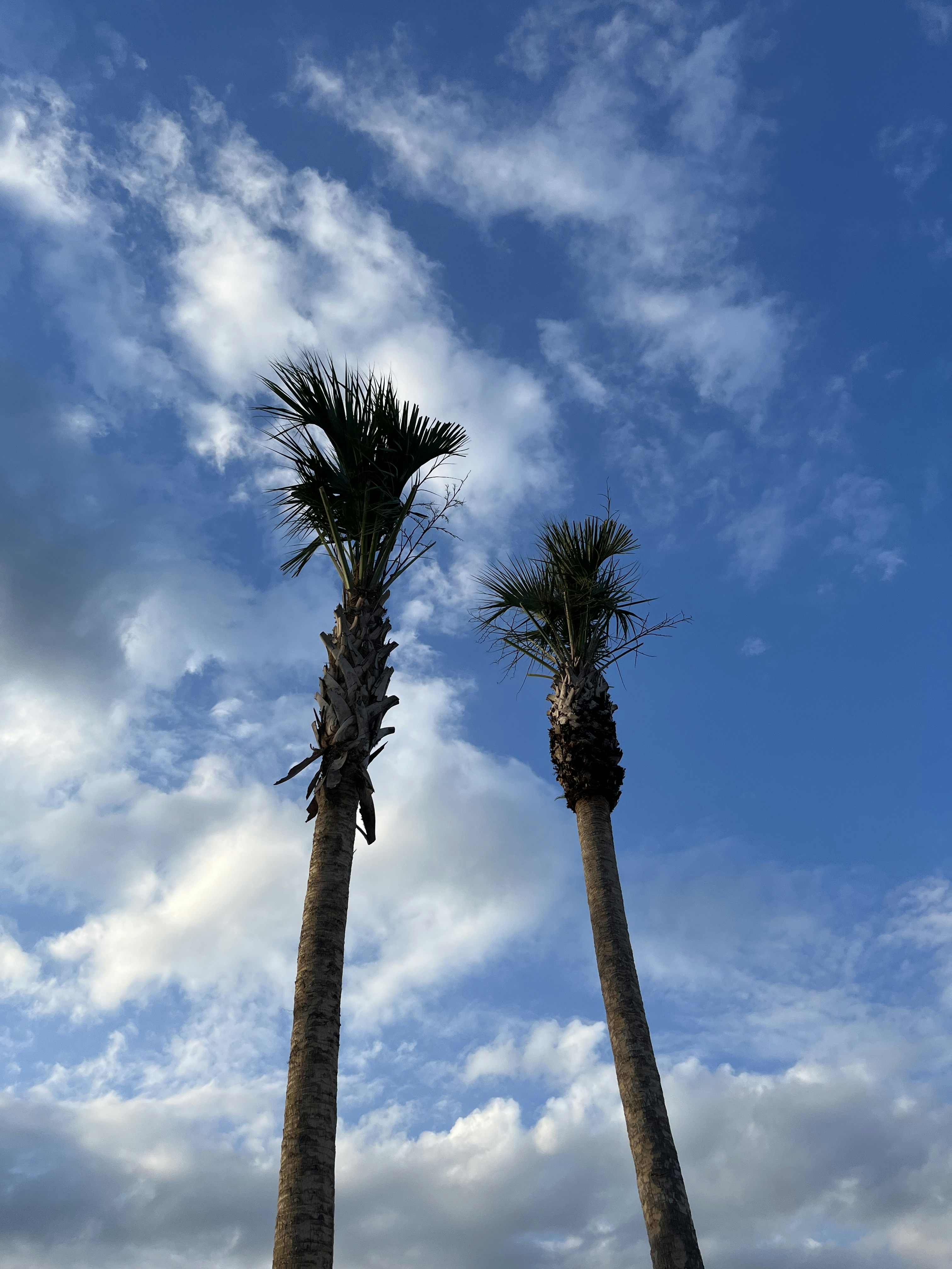 Containers in Hermosa Beach, CA