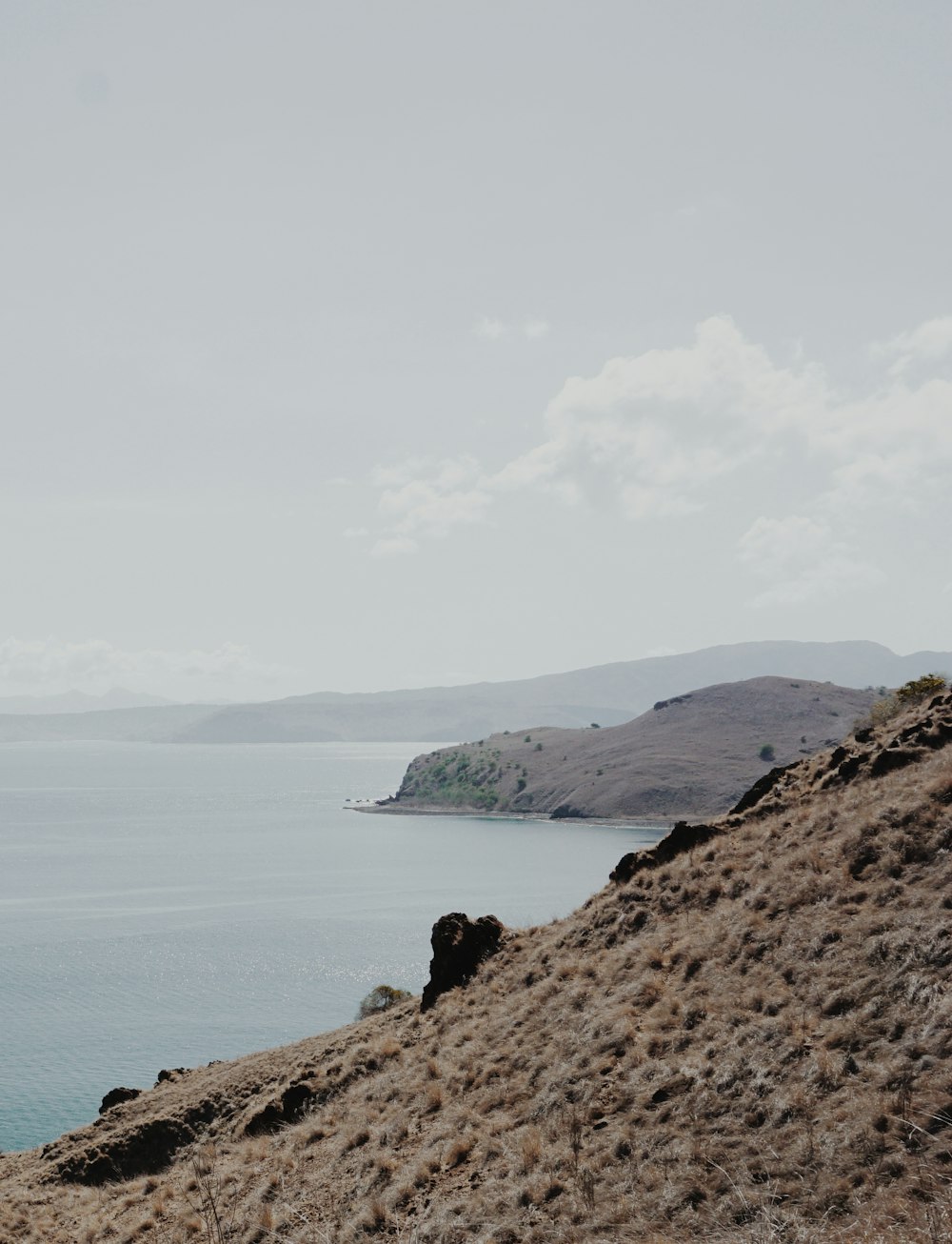 a man riding a horse on top of a hill next to the ocean