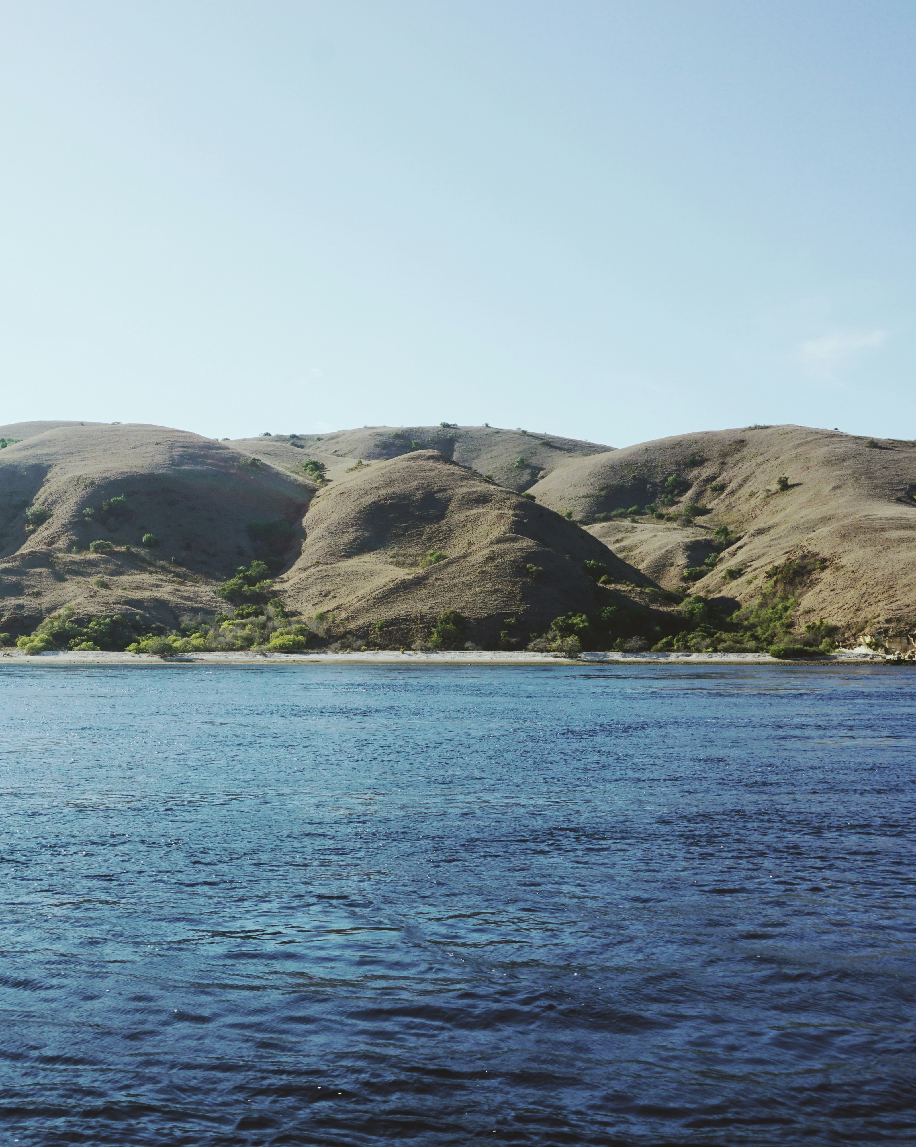 Photo by setiawanafri