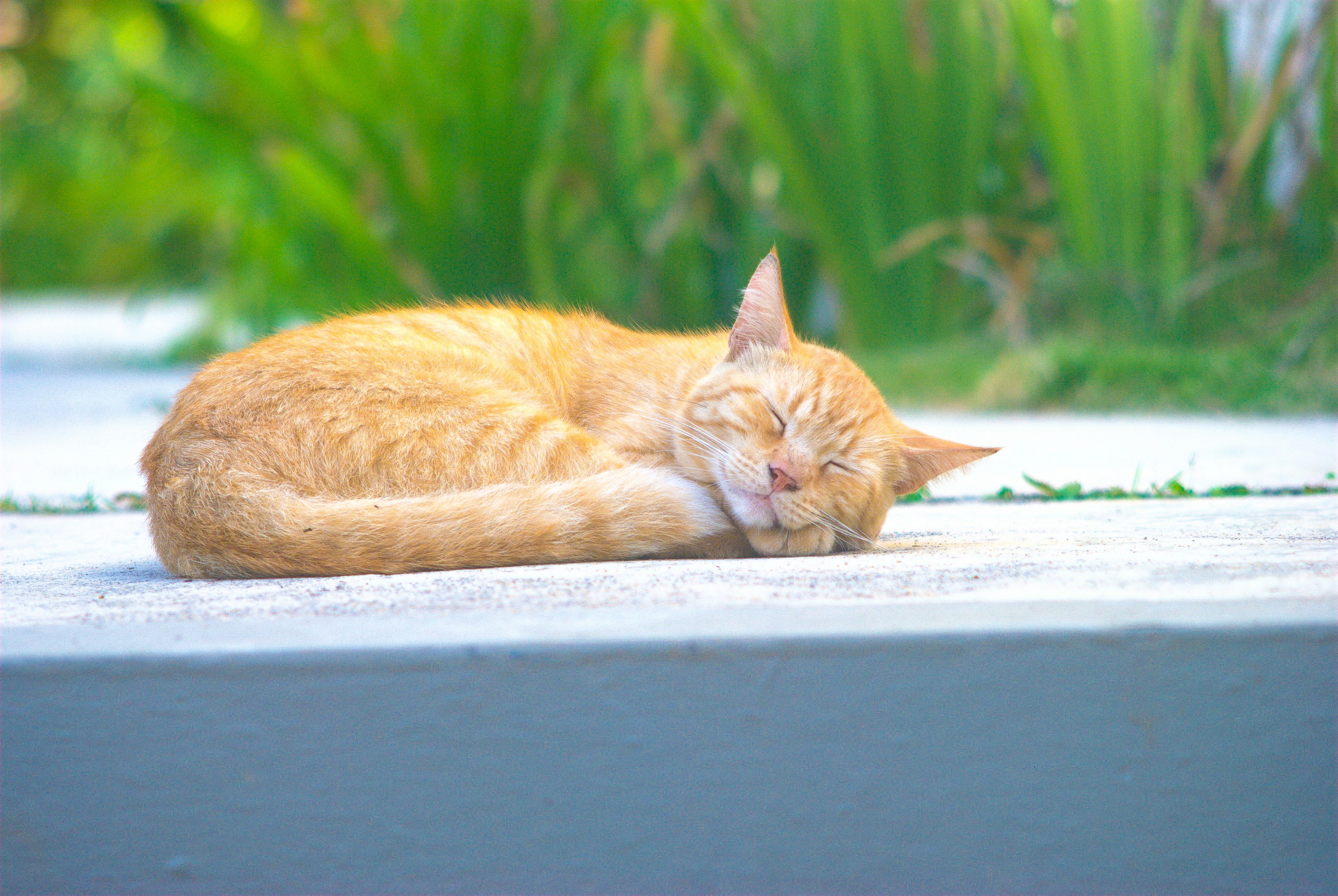 Photo by darlin_surf