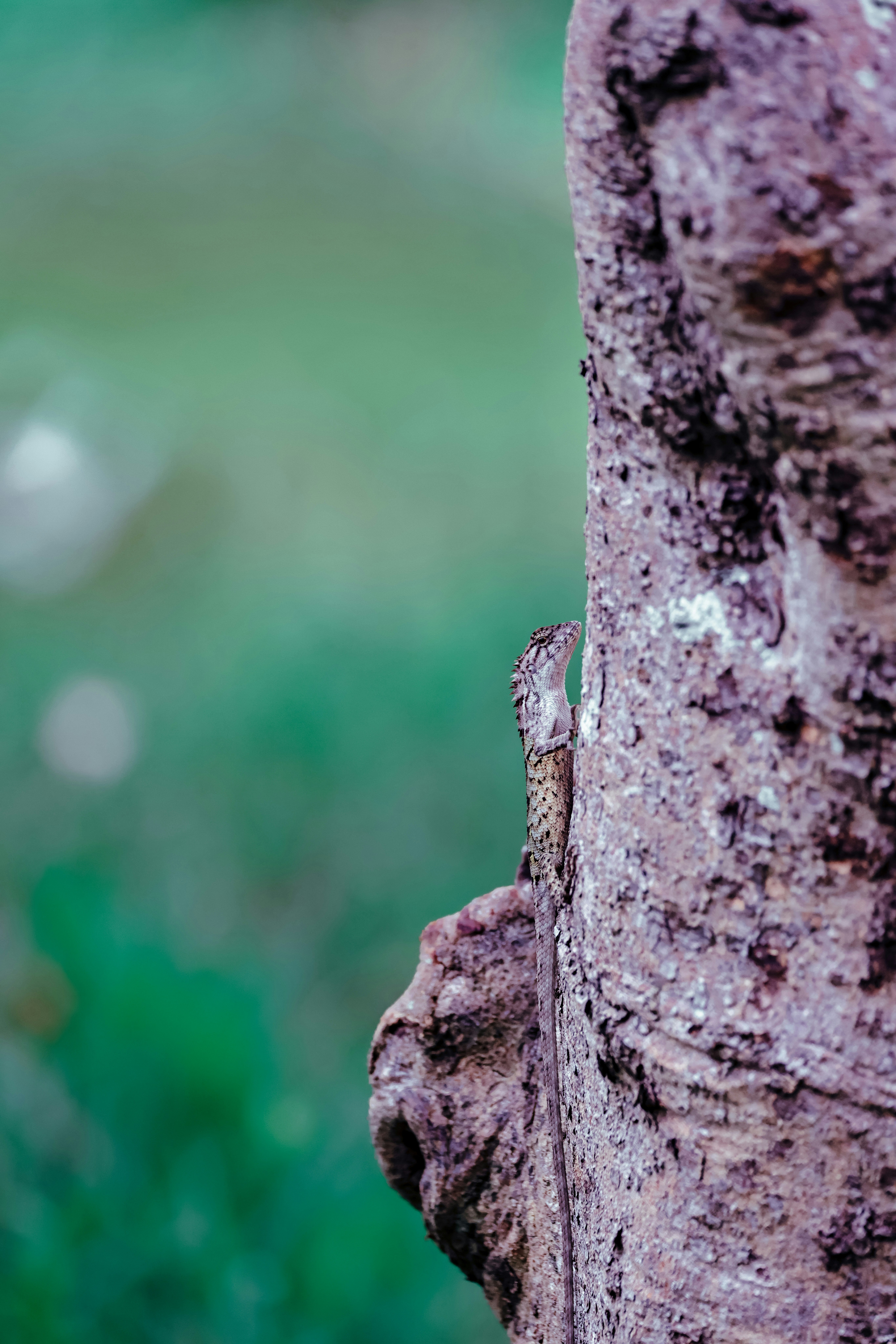 Photo by dickenslin76