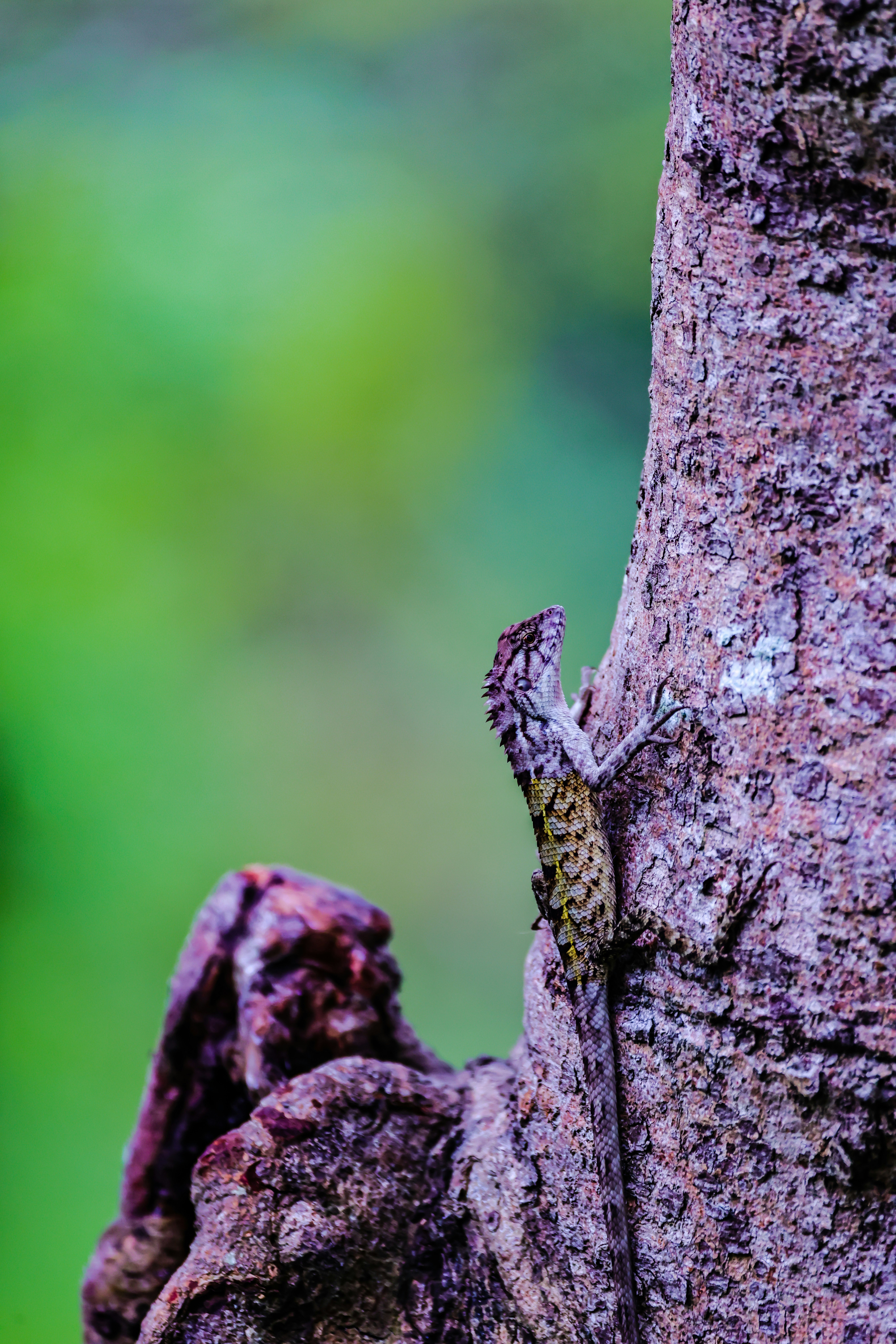 Photo by dickenslin76