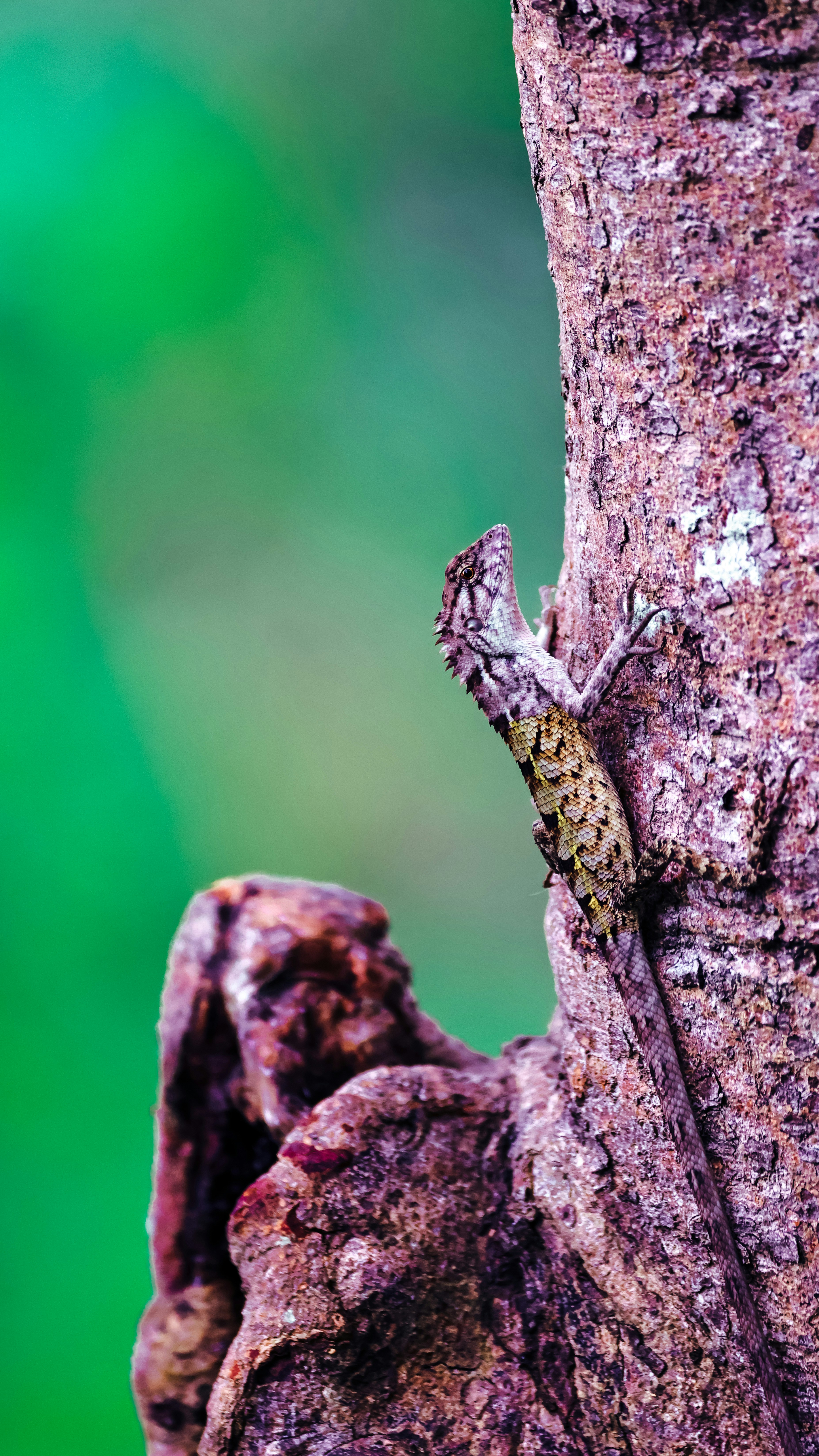 Photo by dickenslin76