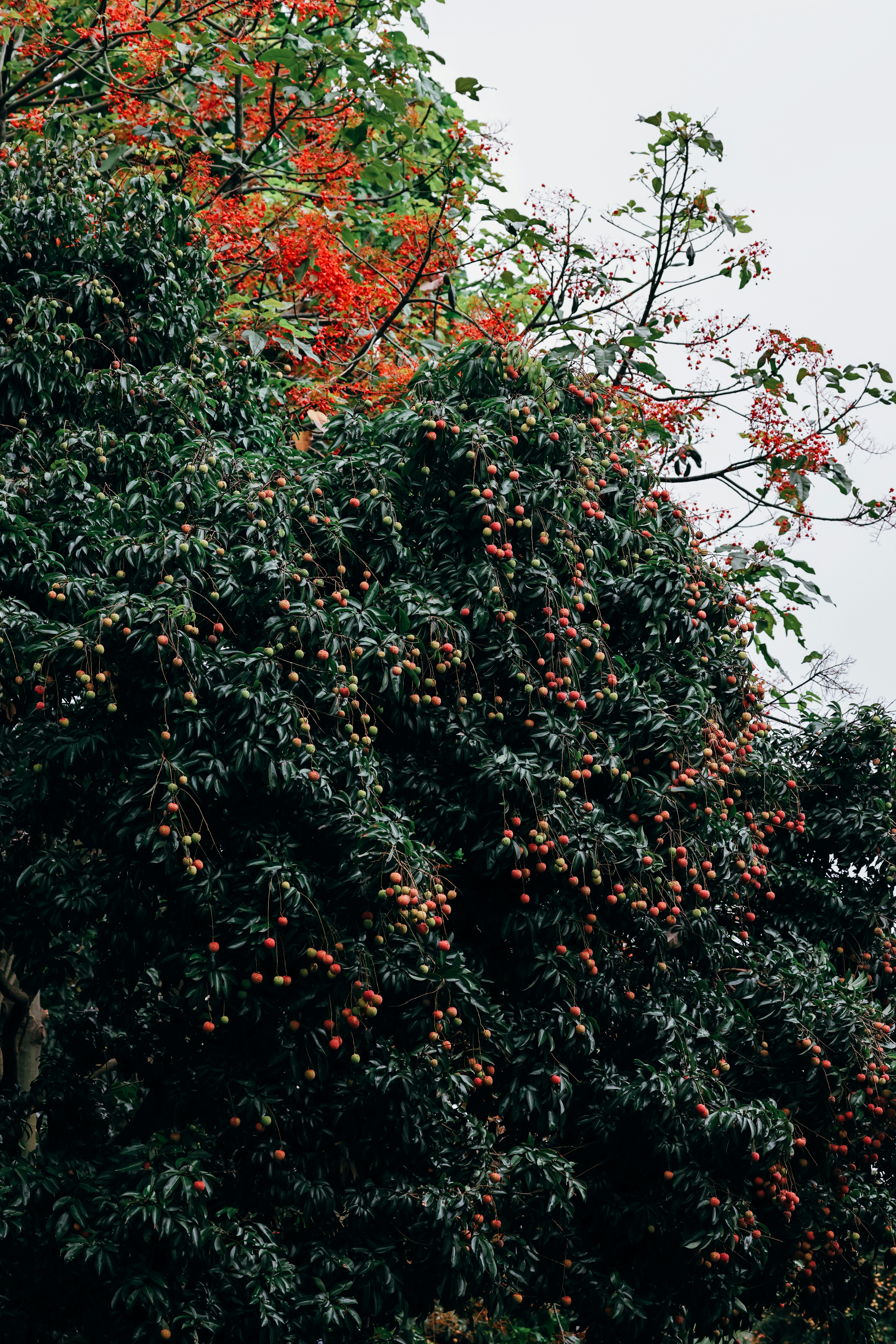 Photo by dickenslin76