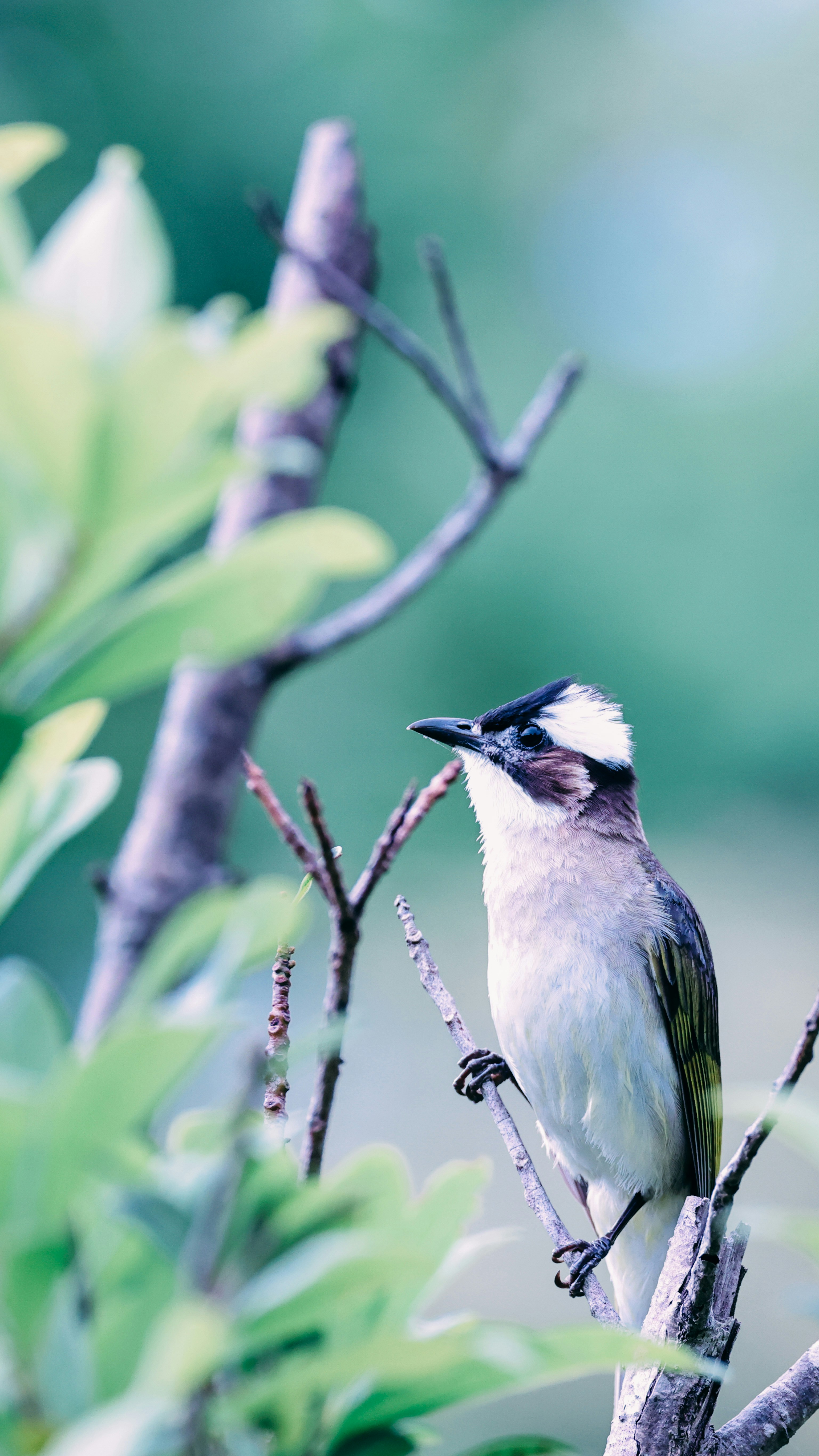 Photo by dickenslin76