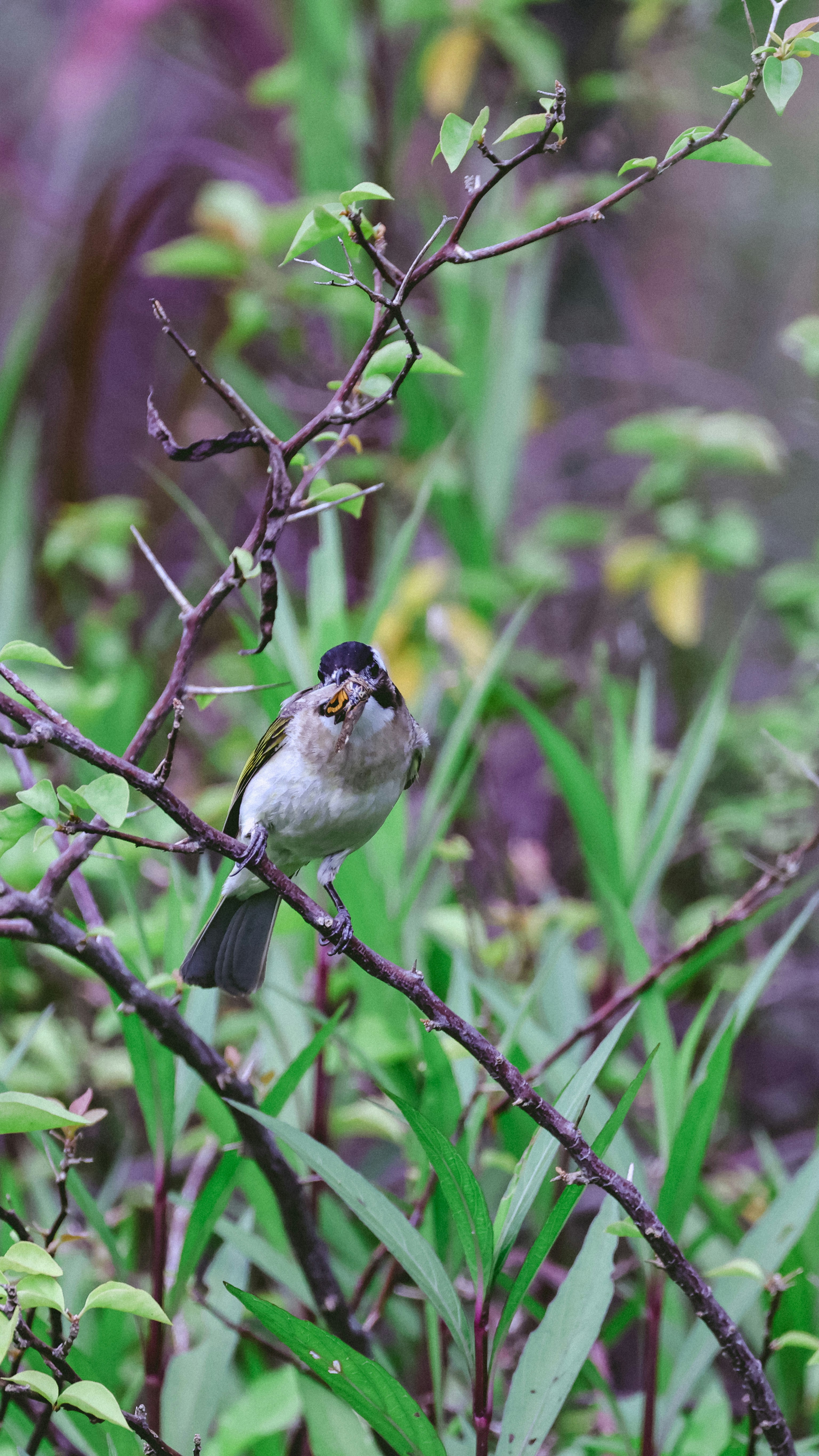 Photo by dickenslin76