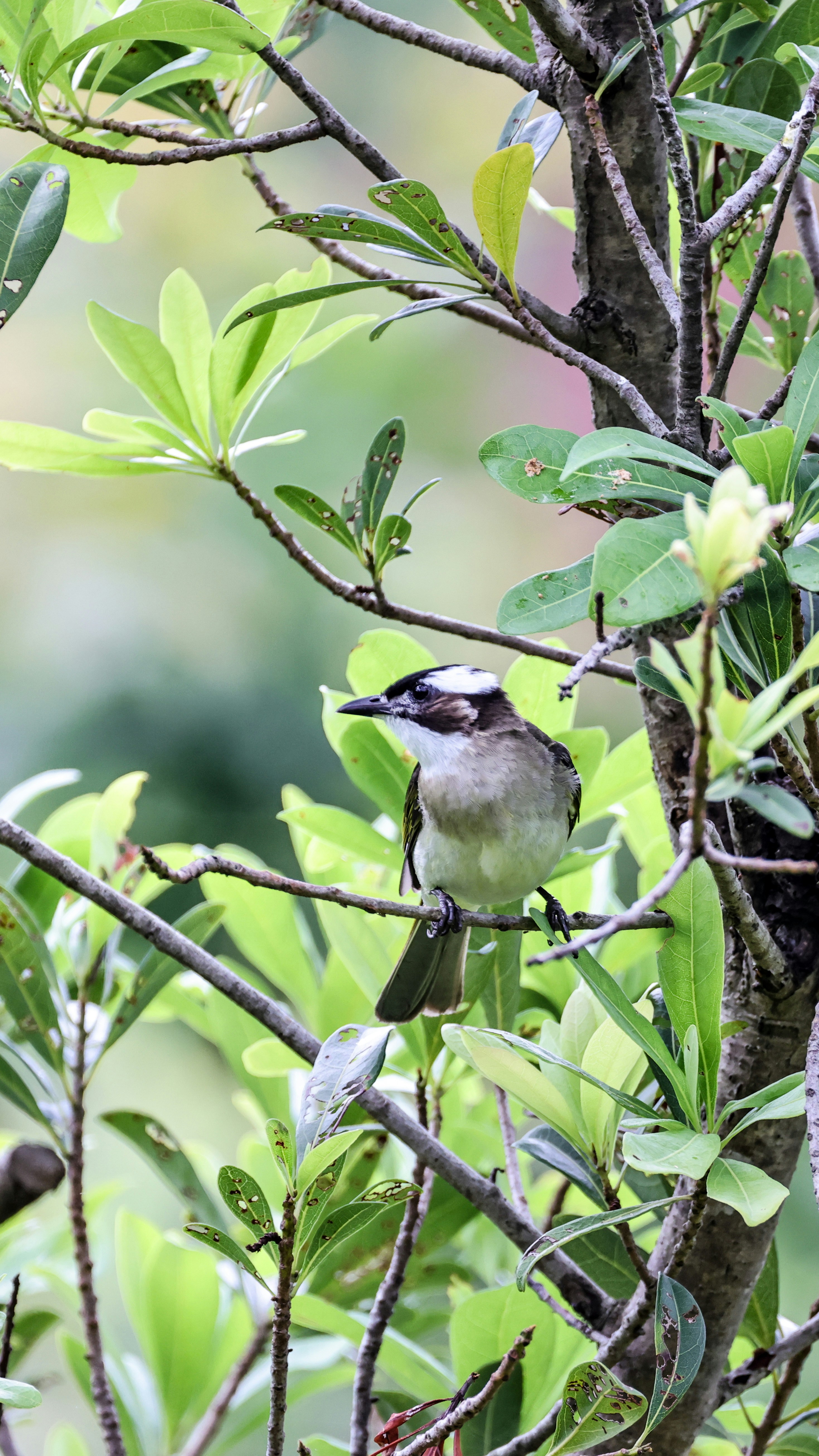 Photo by dickenslin76