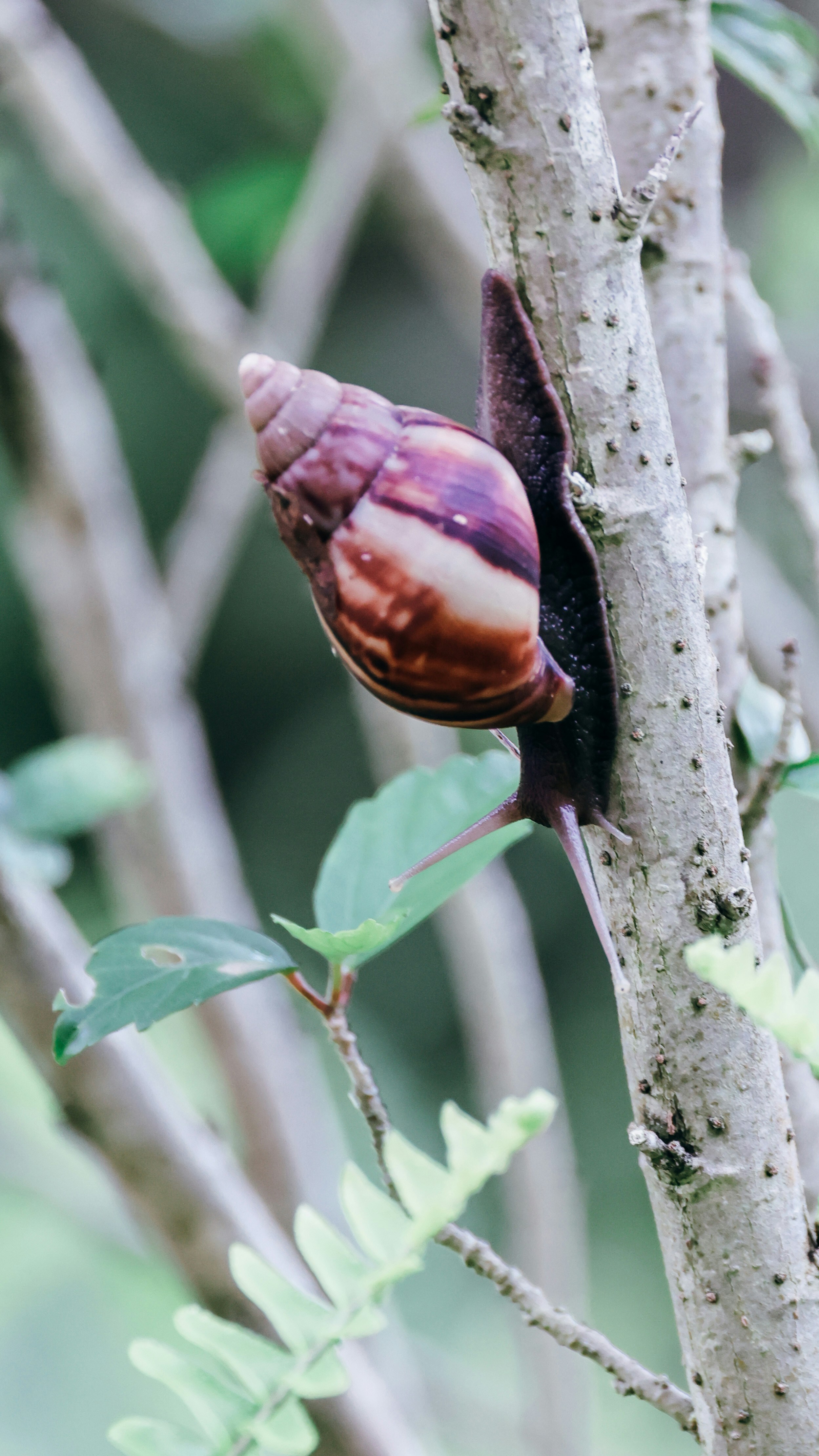 Photo by dickenslin76