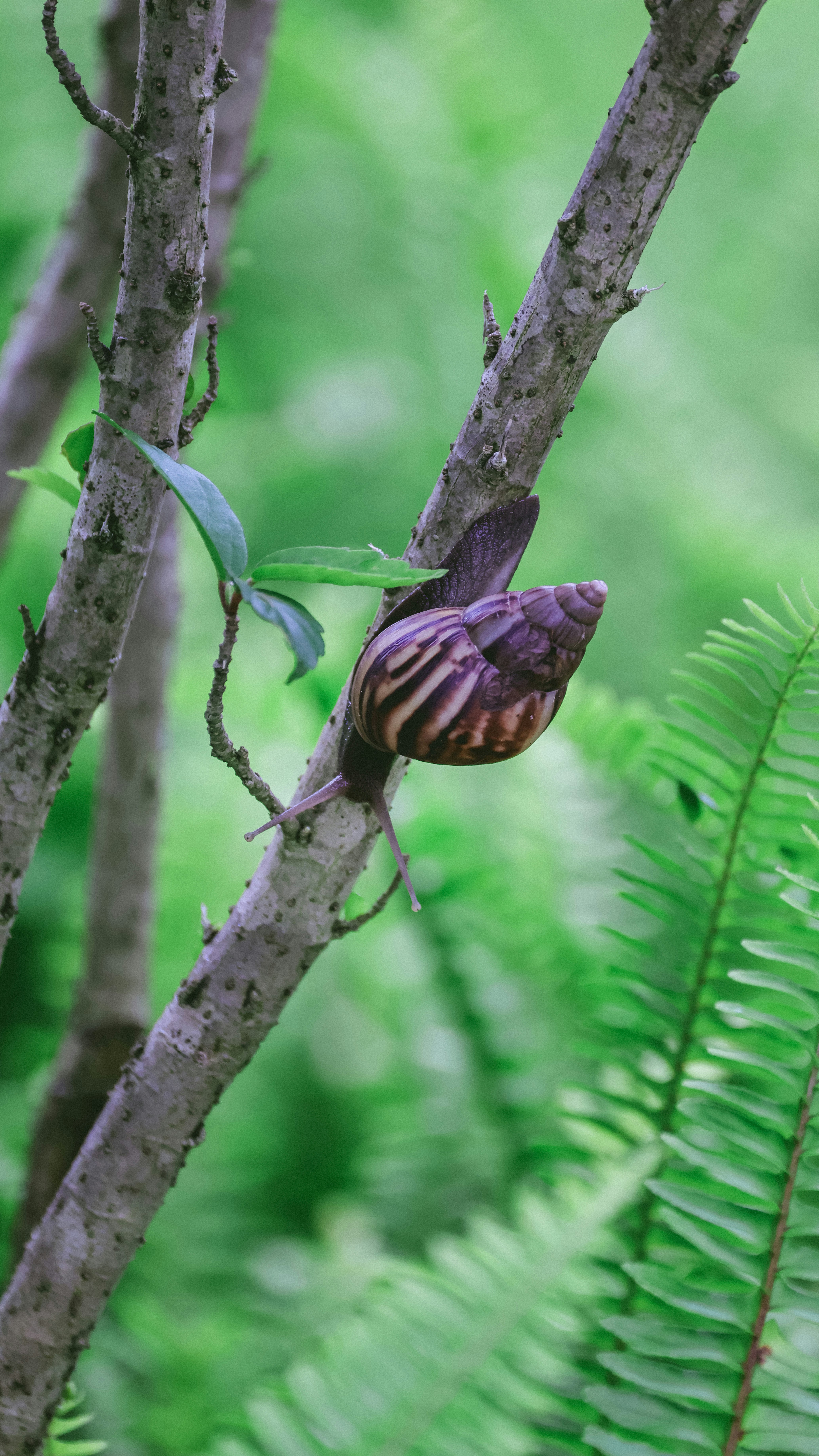 Photo by dickenslin76