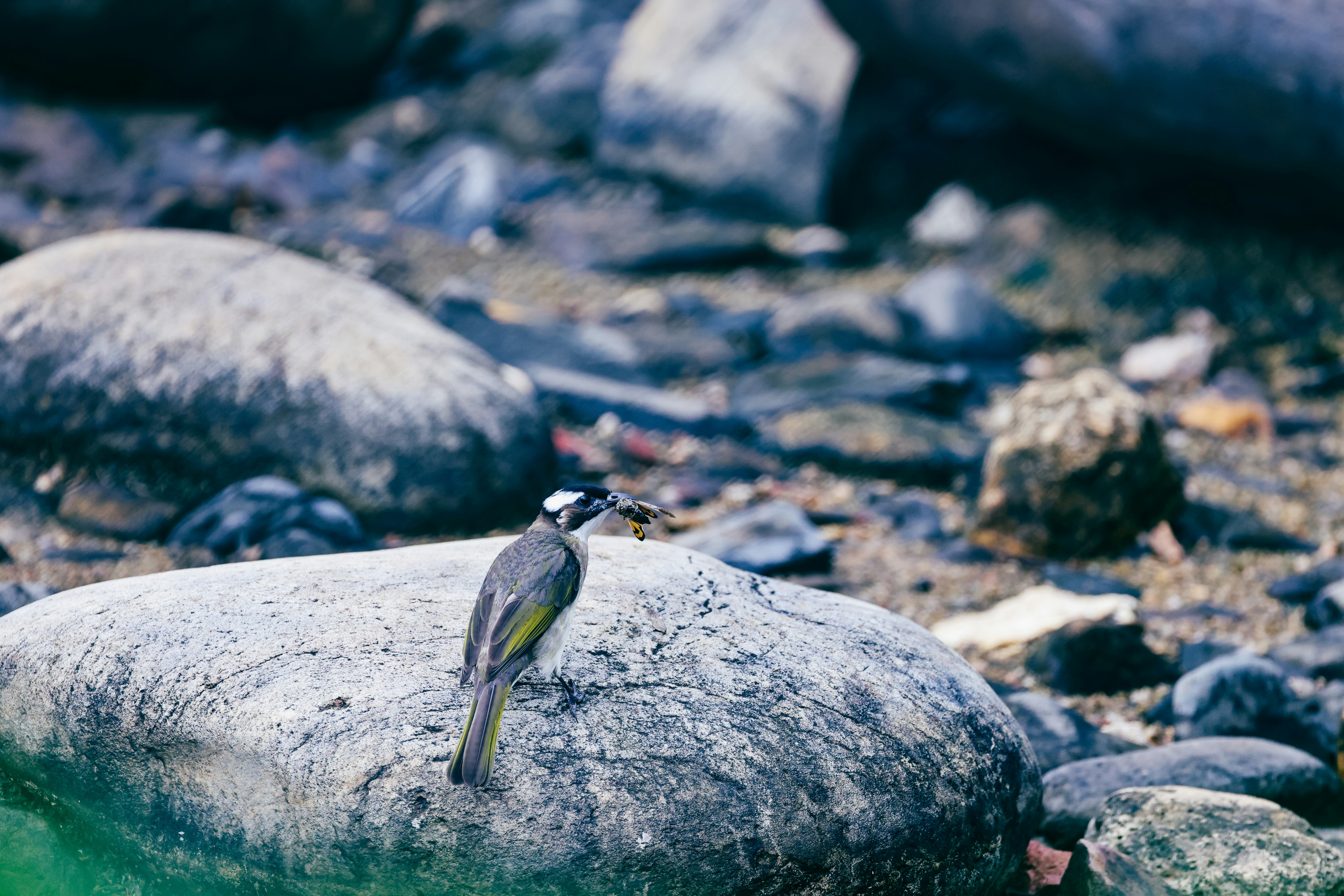 Photo by dickenslin76