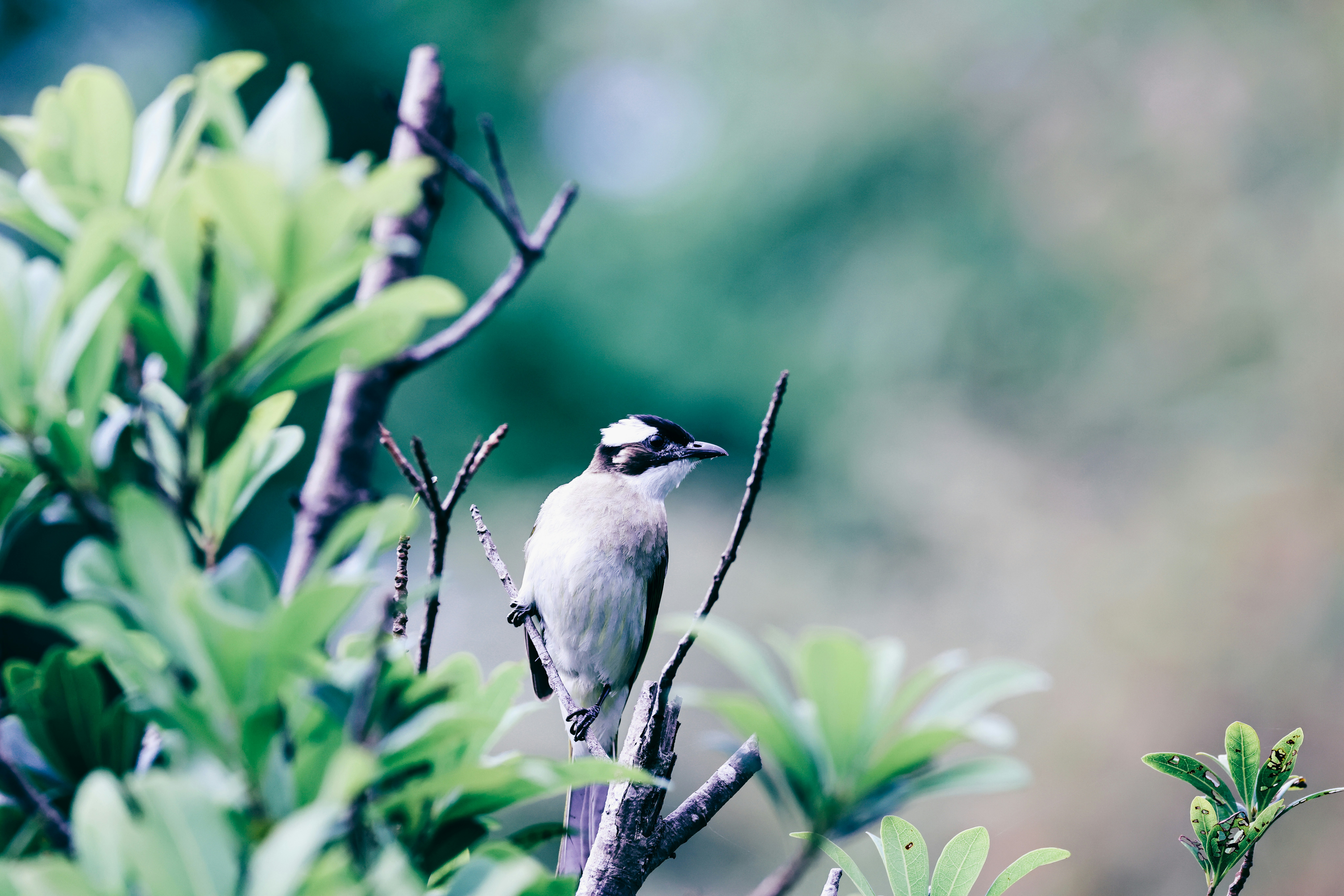 Photo by dickenslin76