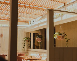 Outdoor seating area with green plants and soft sunlight filtering through